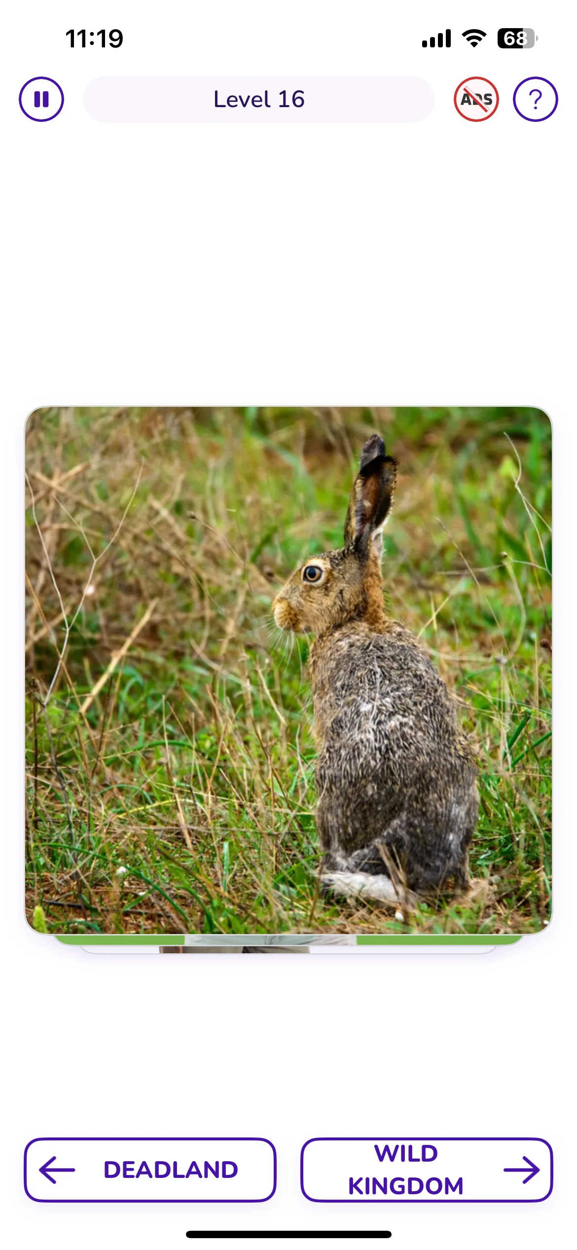Test Image 16
