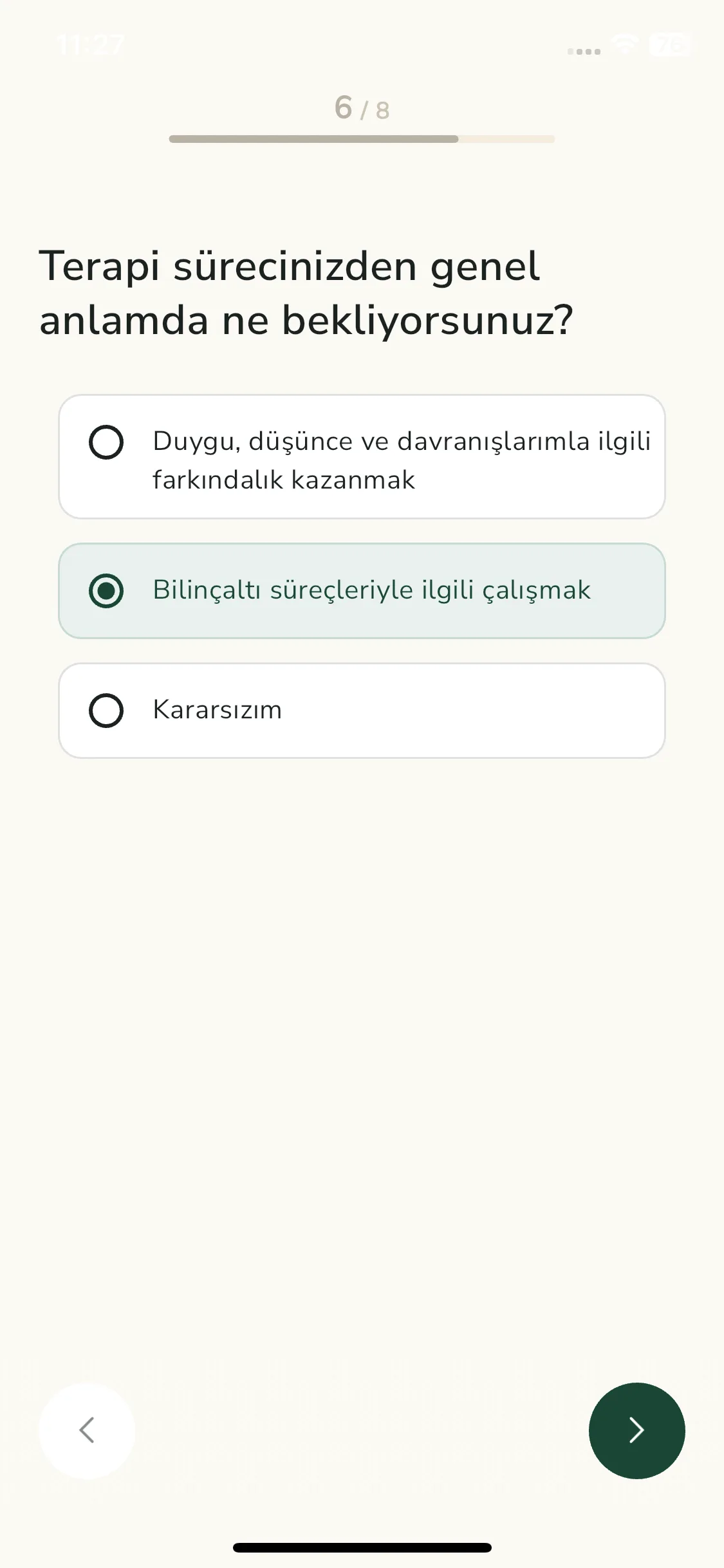 Test Image 13