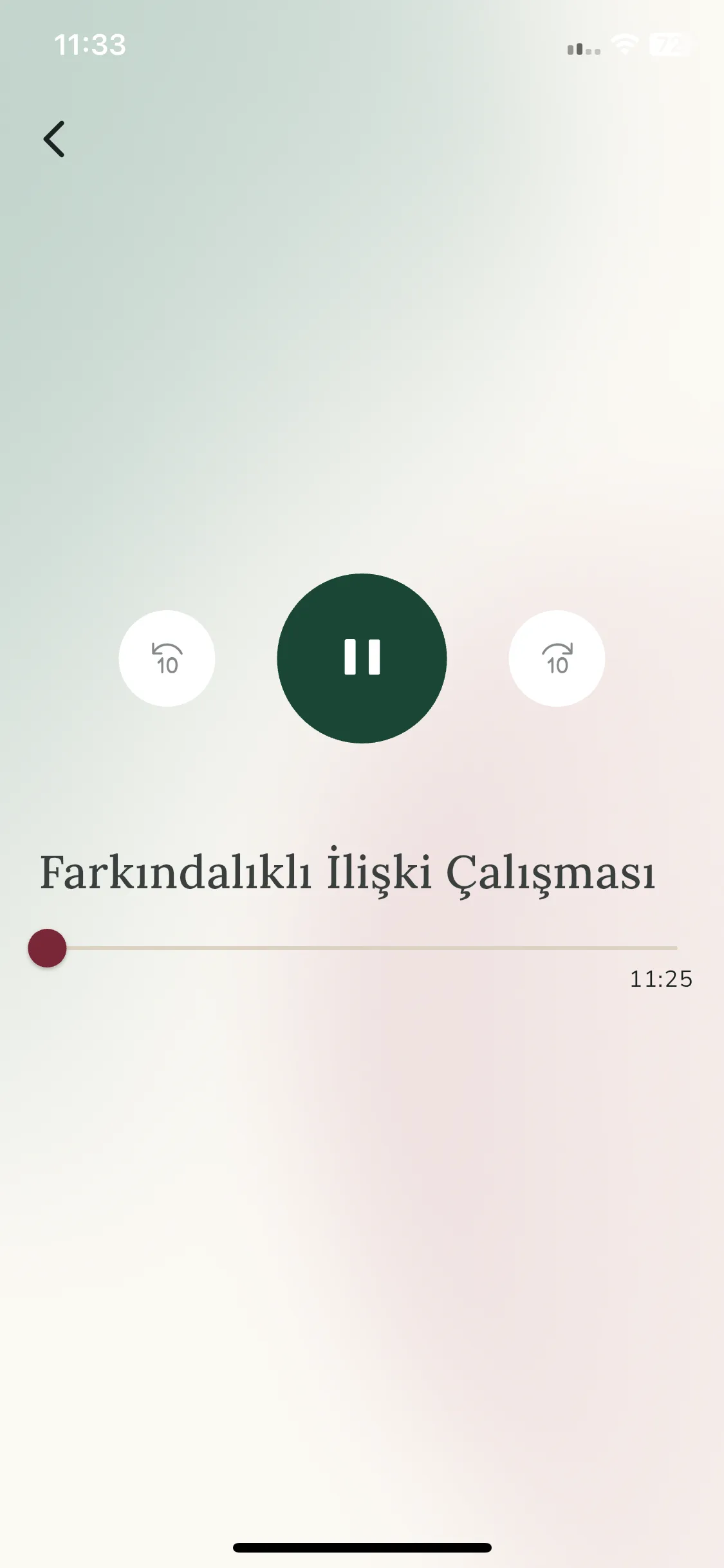 Test Image 10