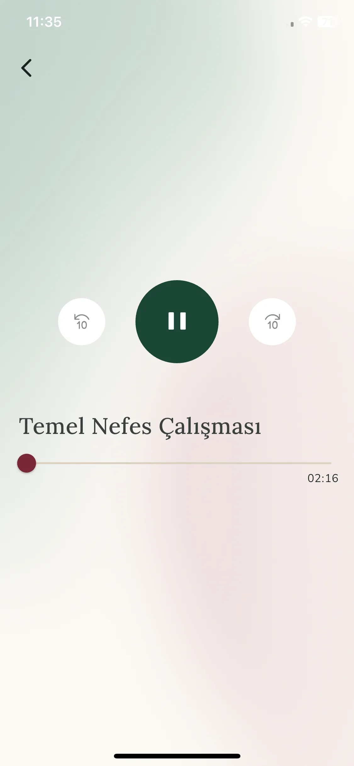 Test Image 17