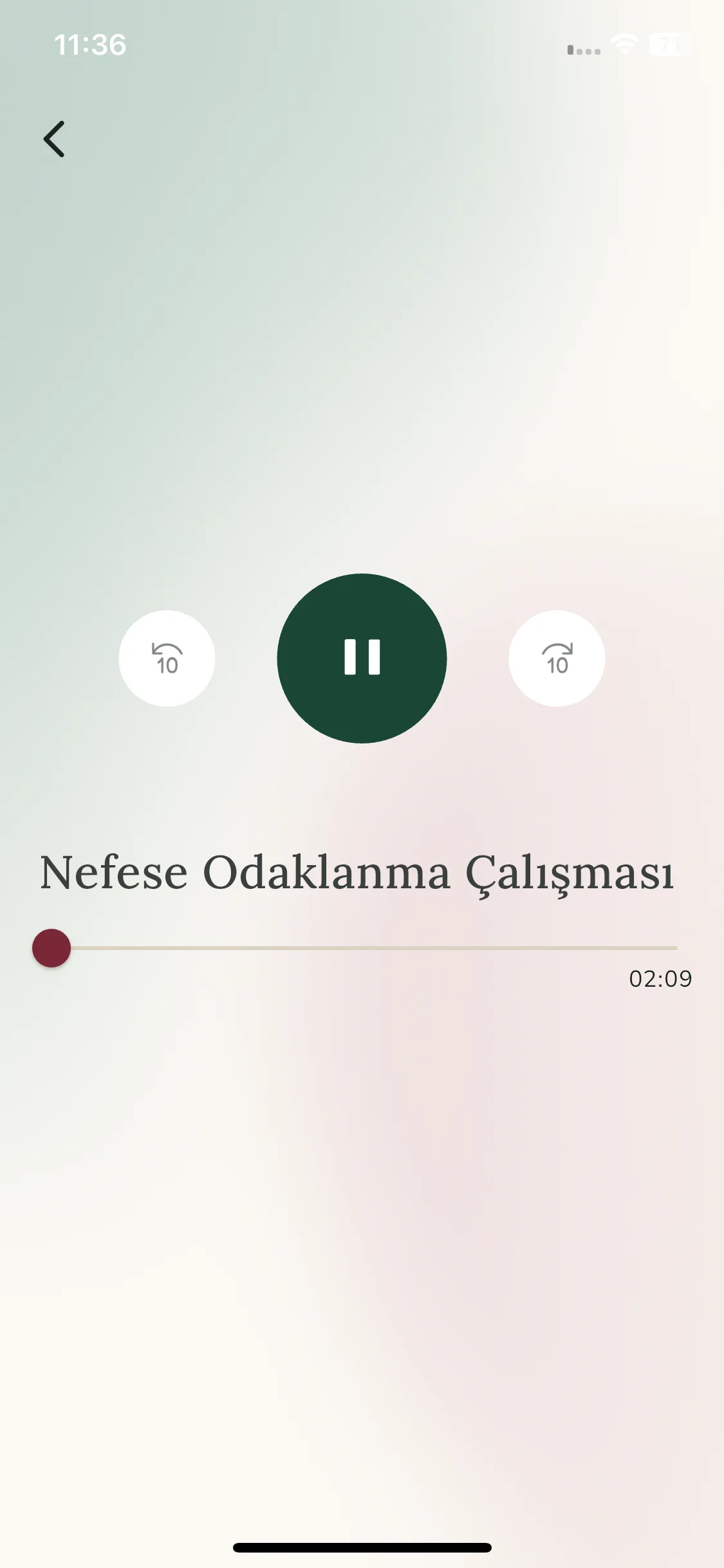 Test Image 19
