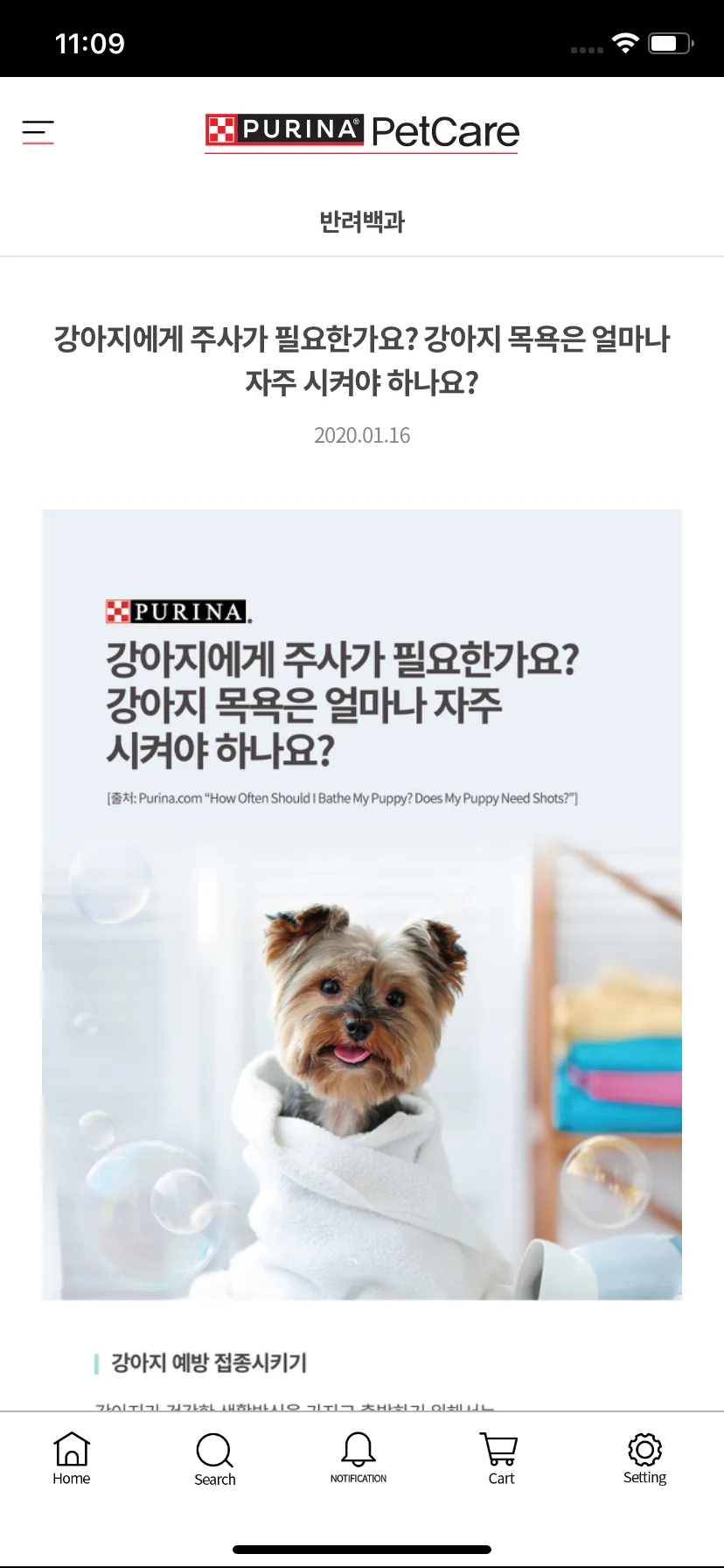 Test Image 10