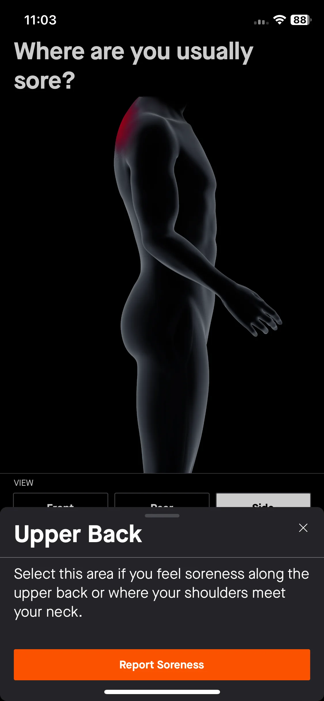 Test Image 11