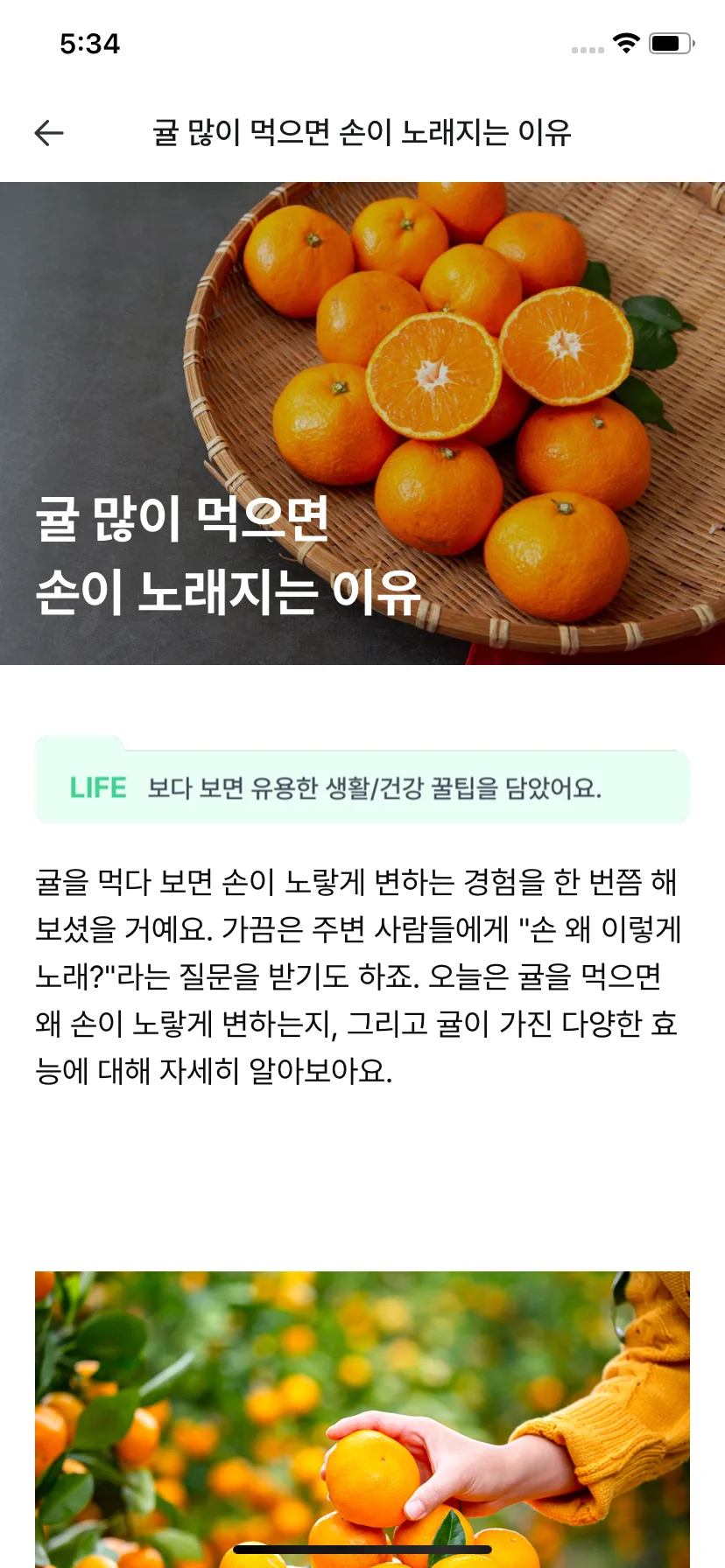 Test Image 1