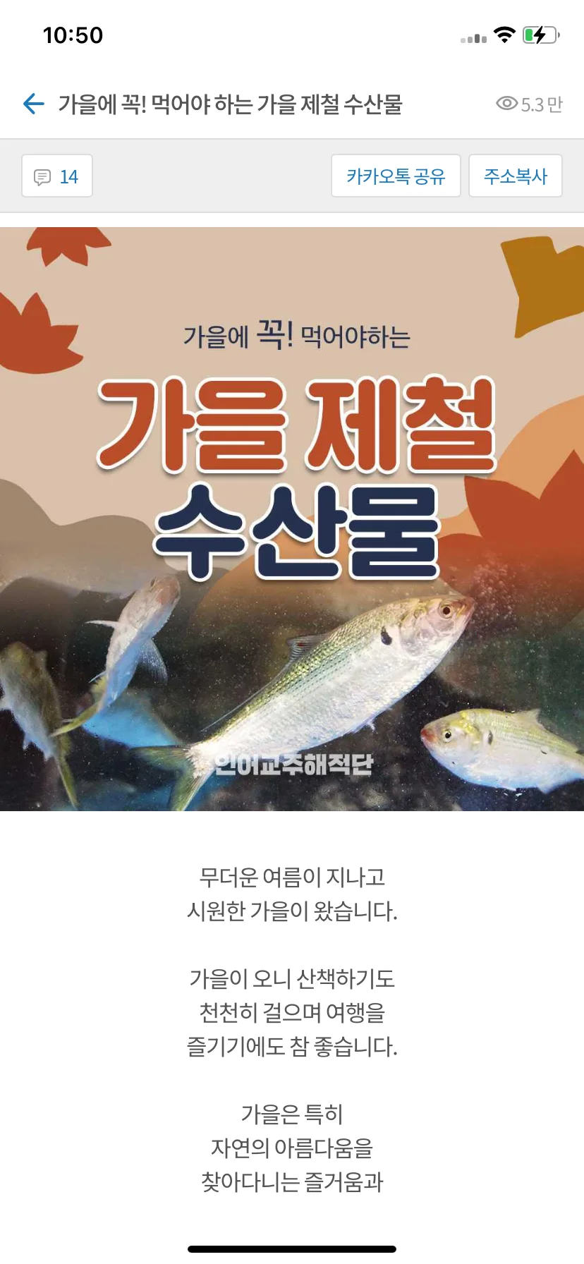 Test Image 1