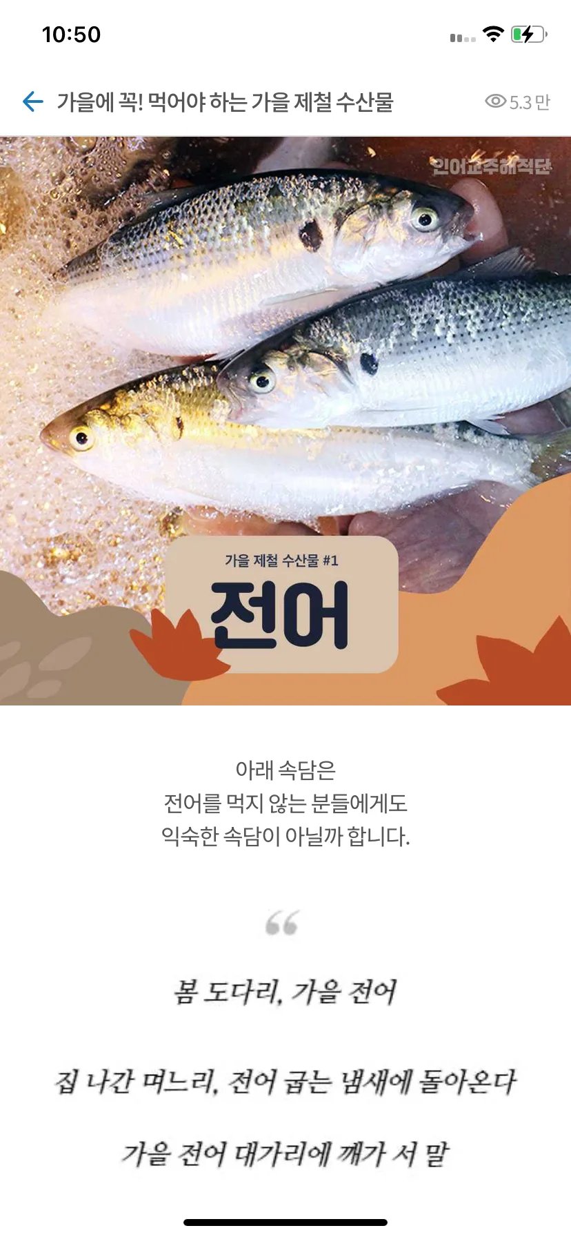 Test Image 3