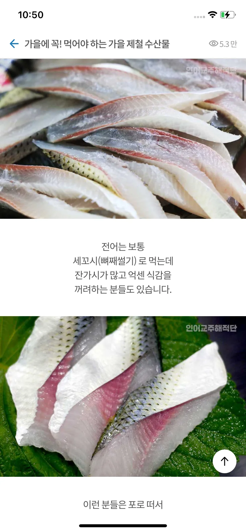 Test Image 4