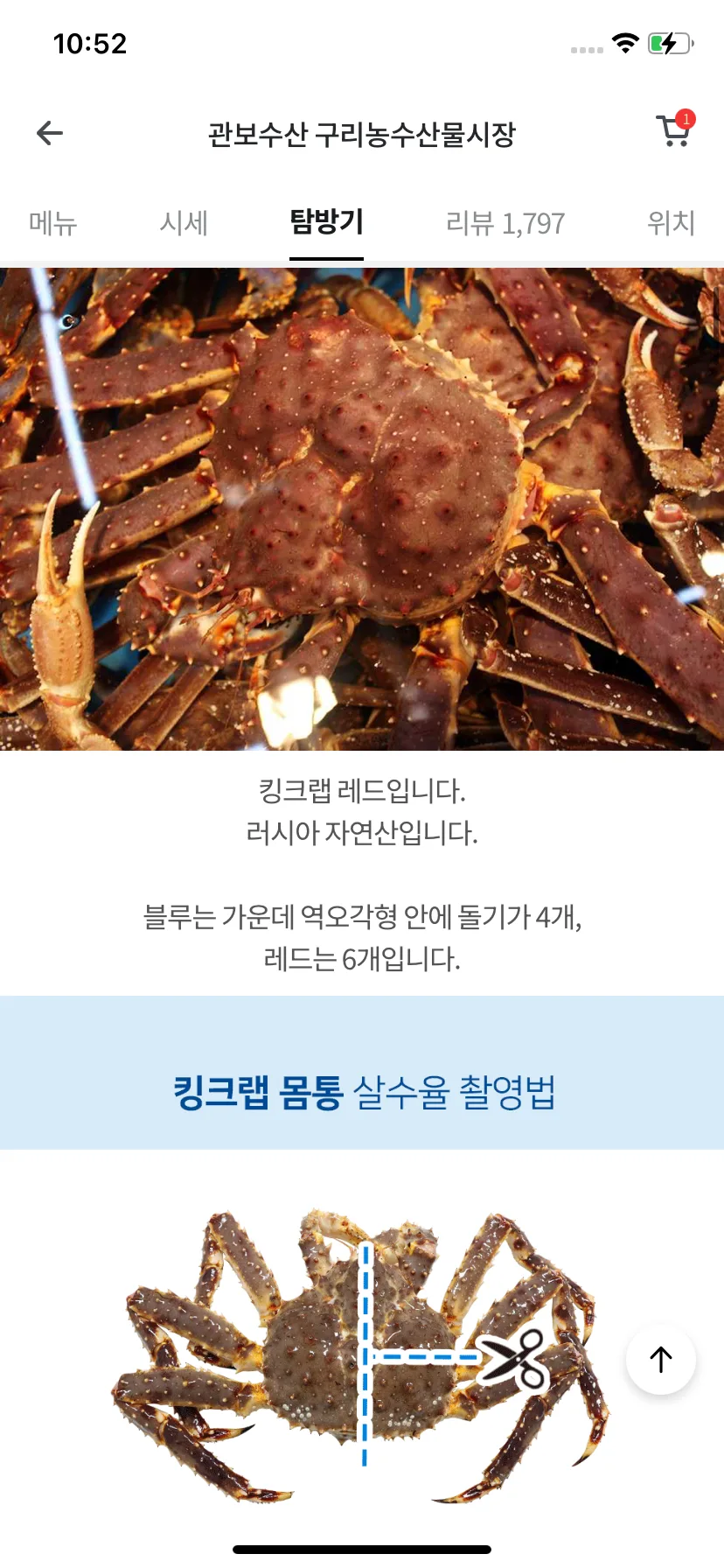 Test Image 10
