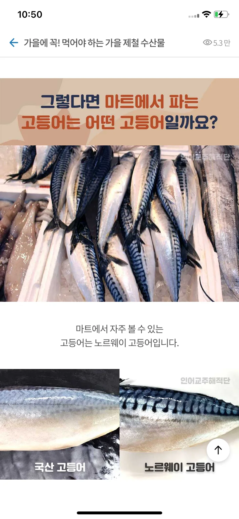 Test Image 3