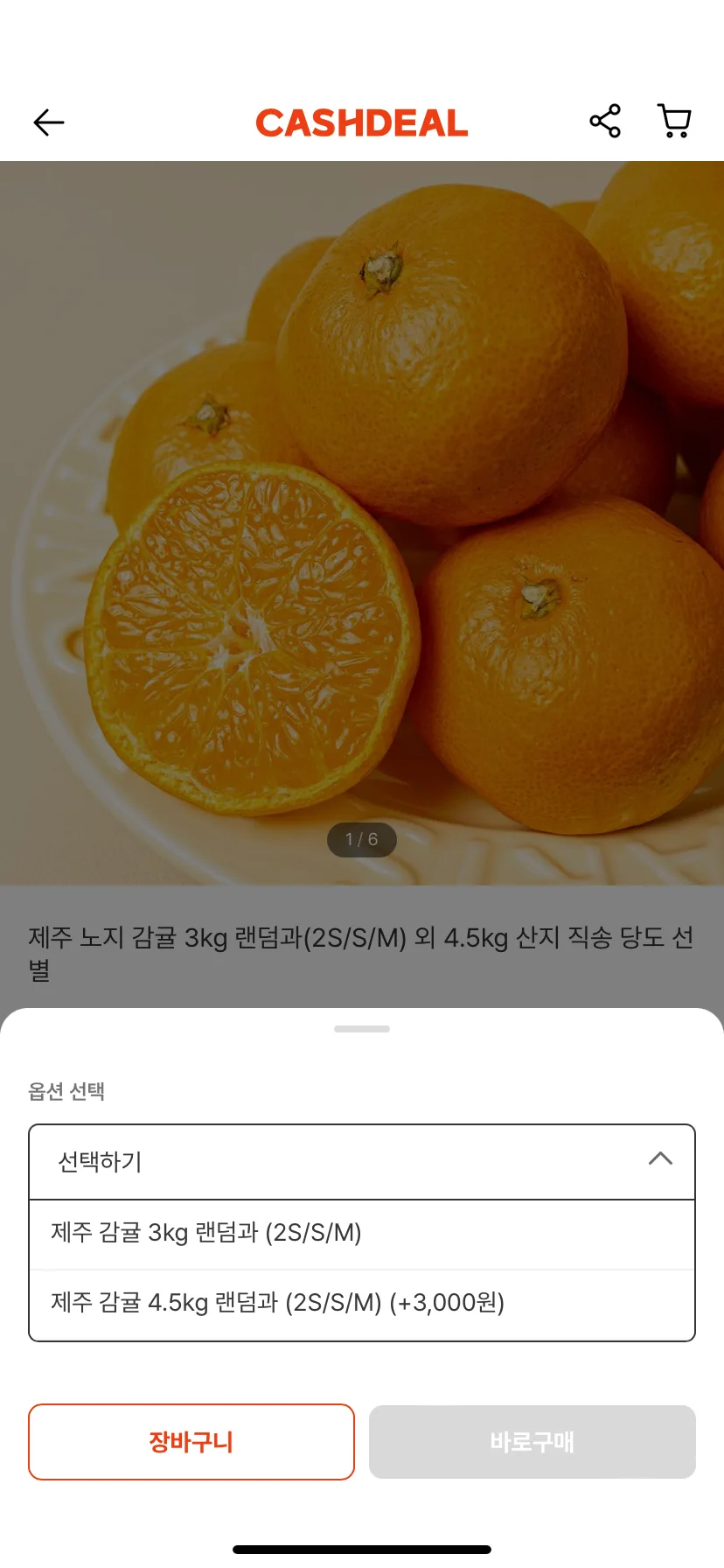 Test Image 5