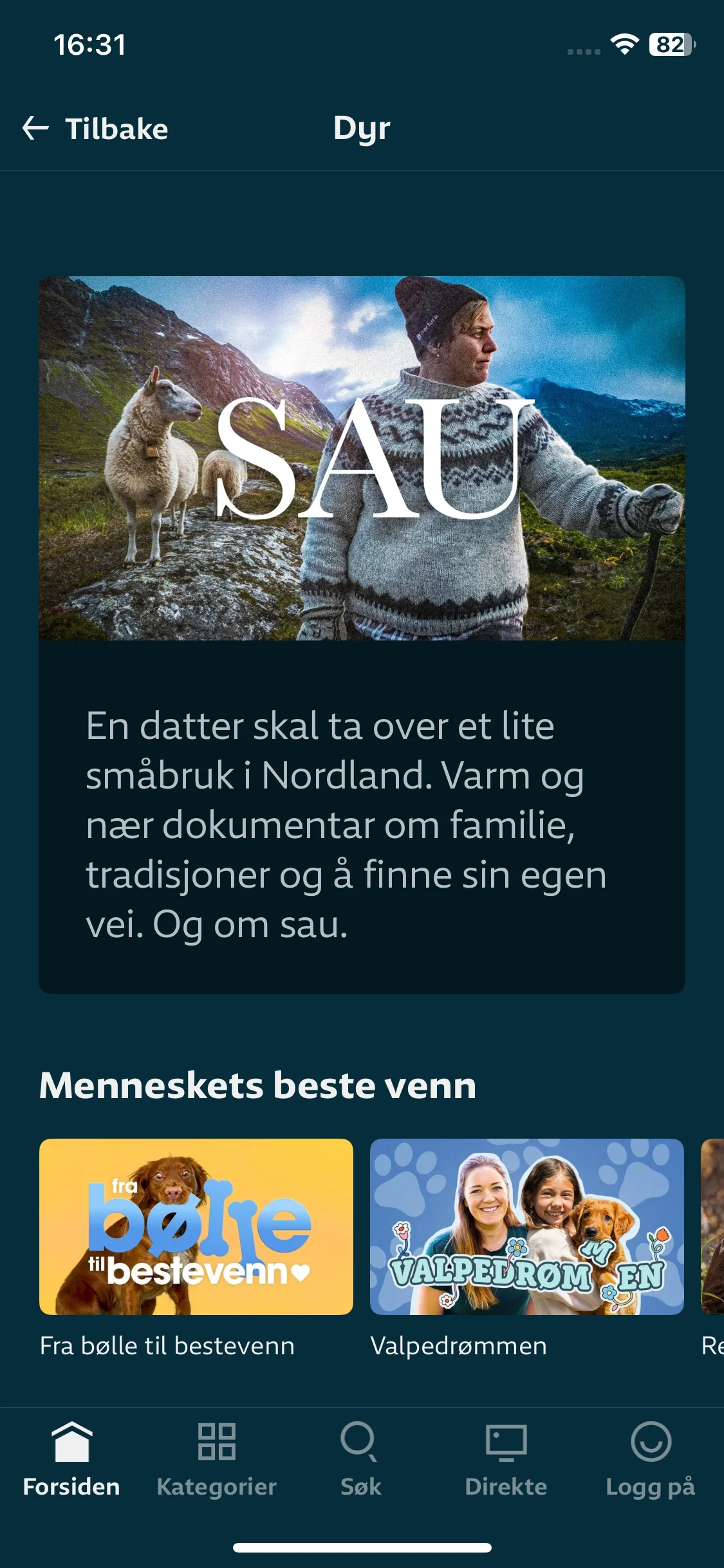 Test Image 22