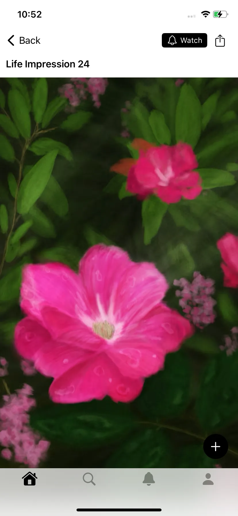 Test Image 5