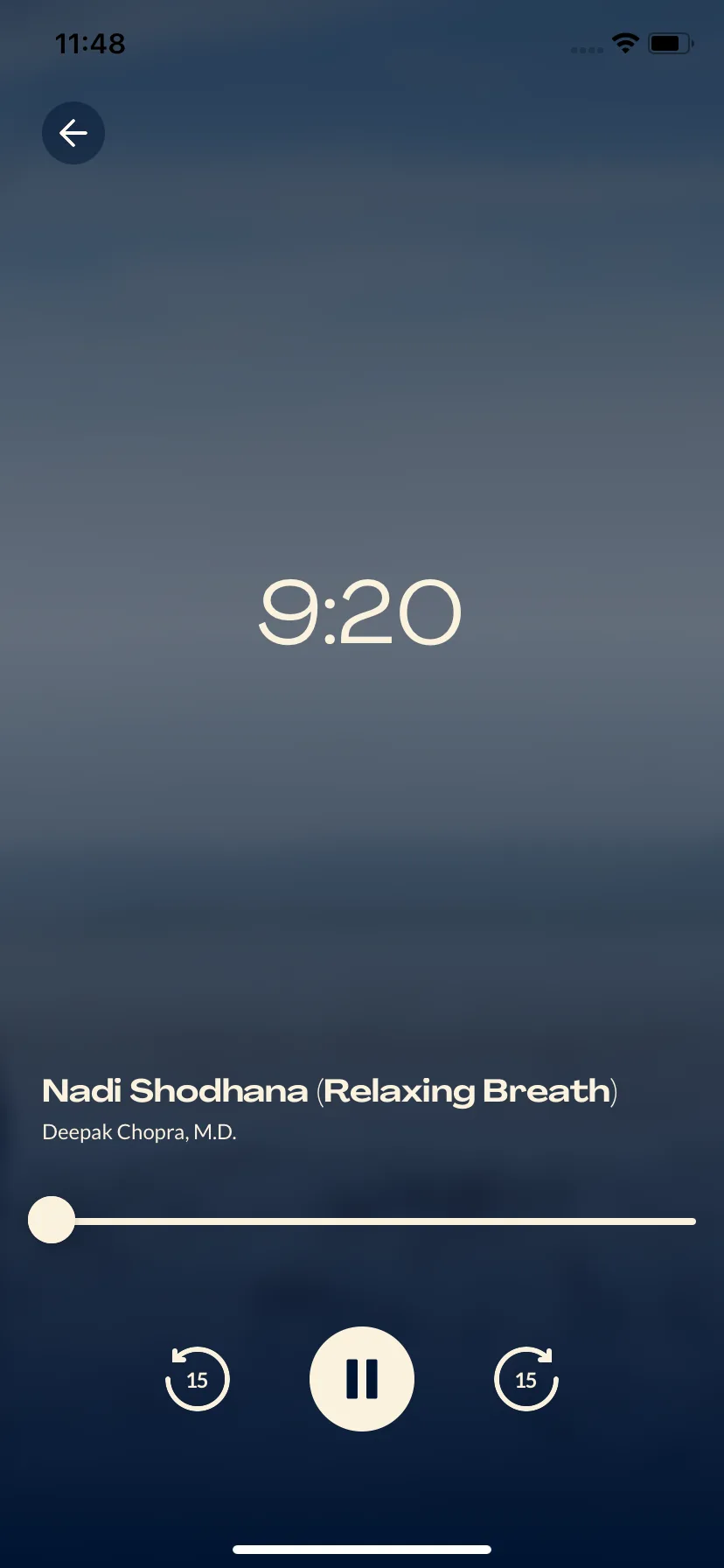 Test Image 22