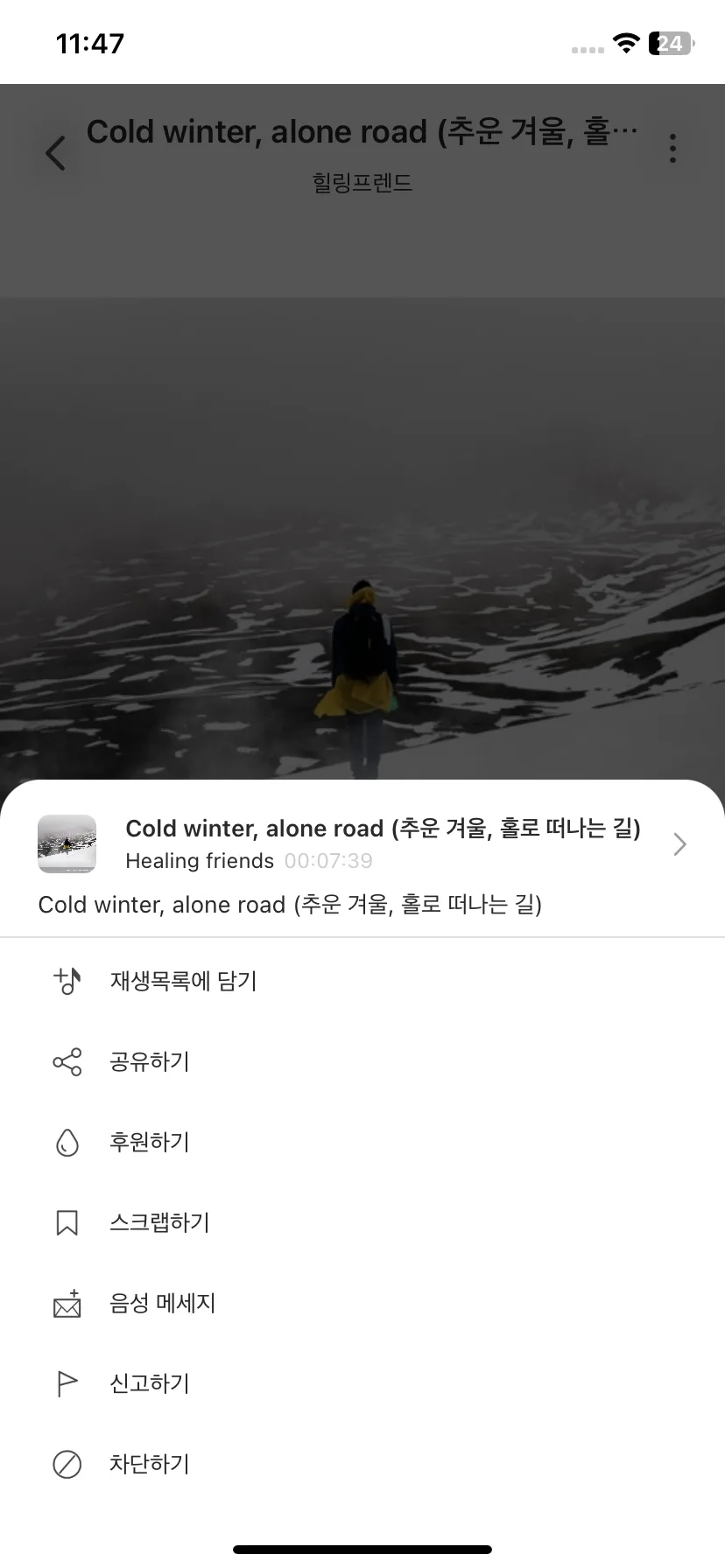 Test Image 11
