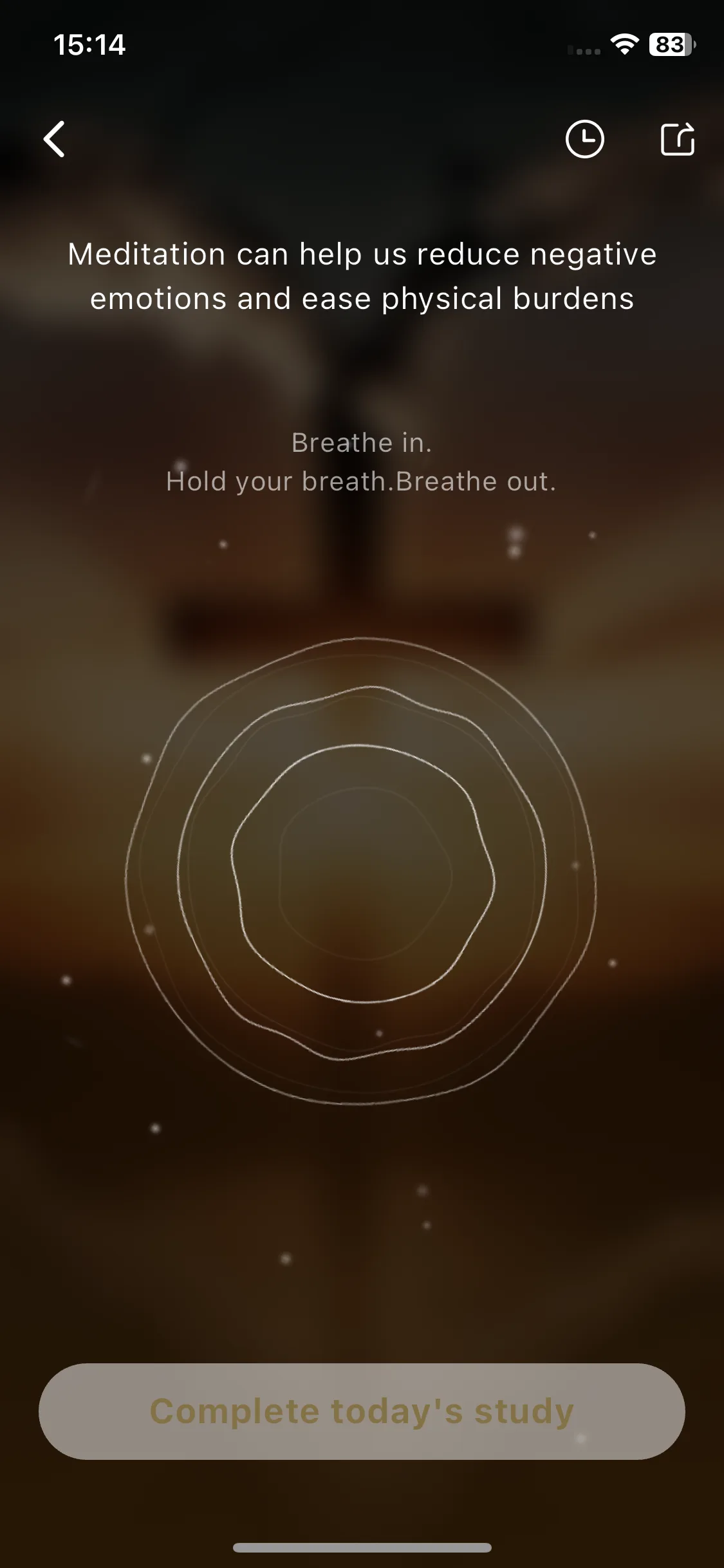 Test Image 14