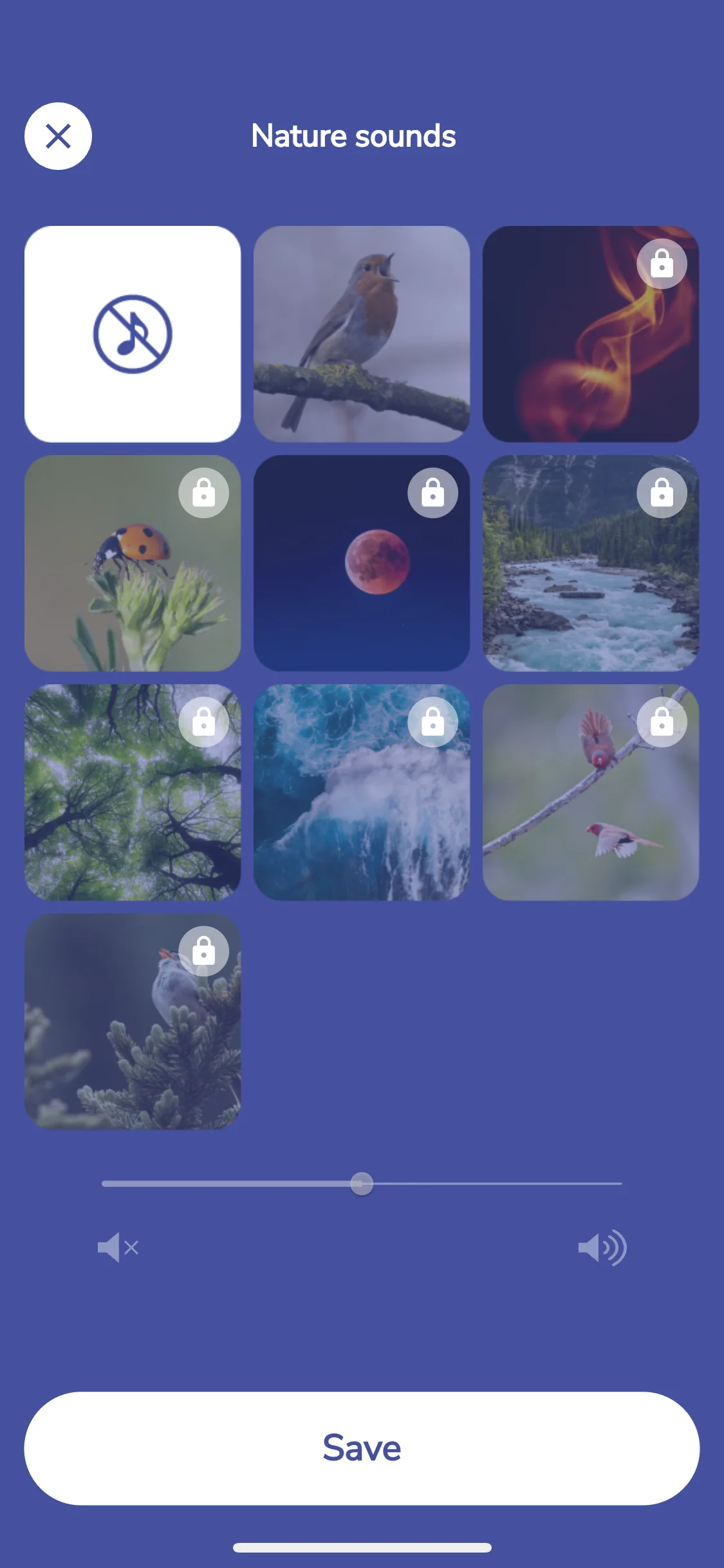 Test Image 6