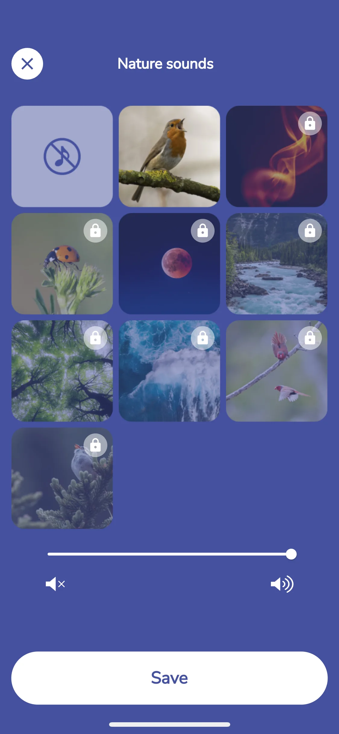 Test Image 7