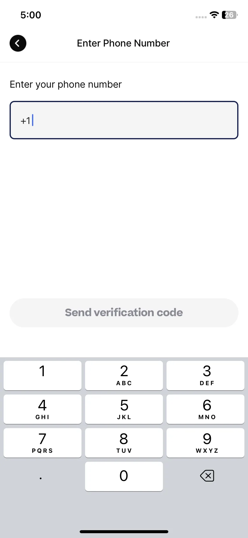 Test Image 17