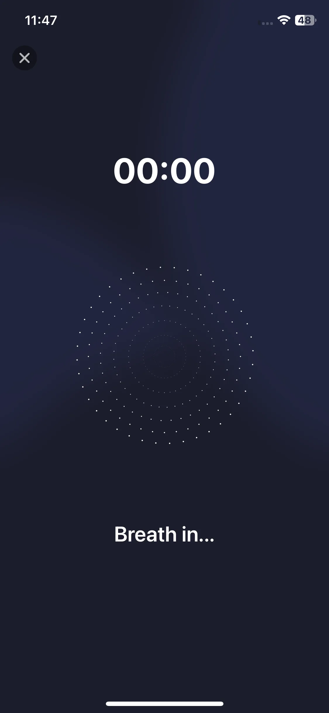 Test Image 11