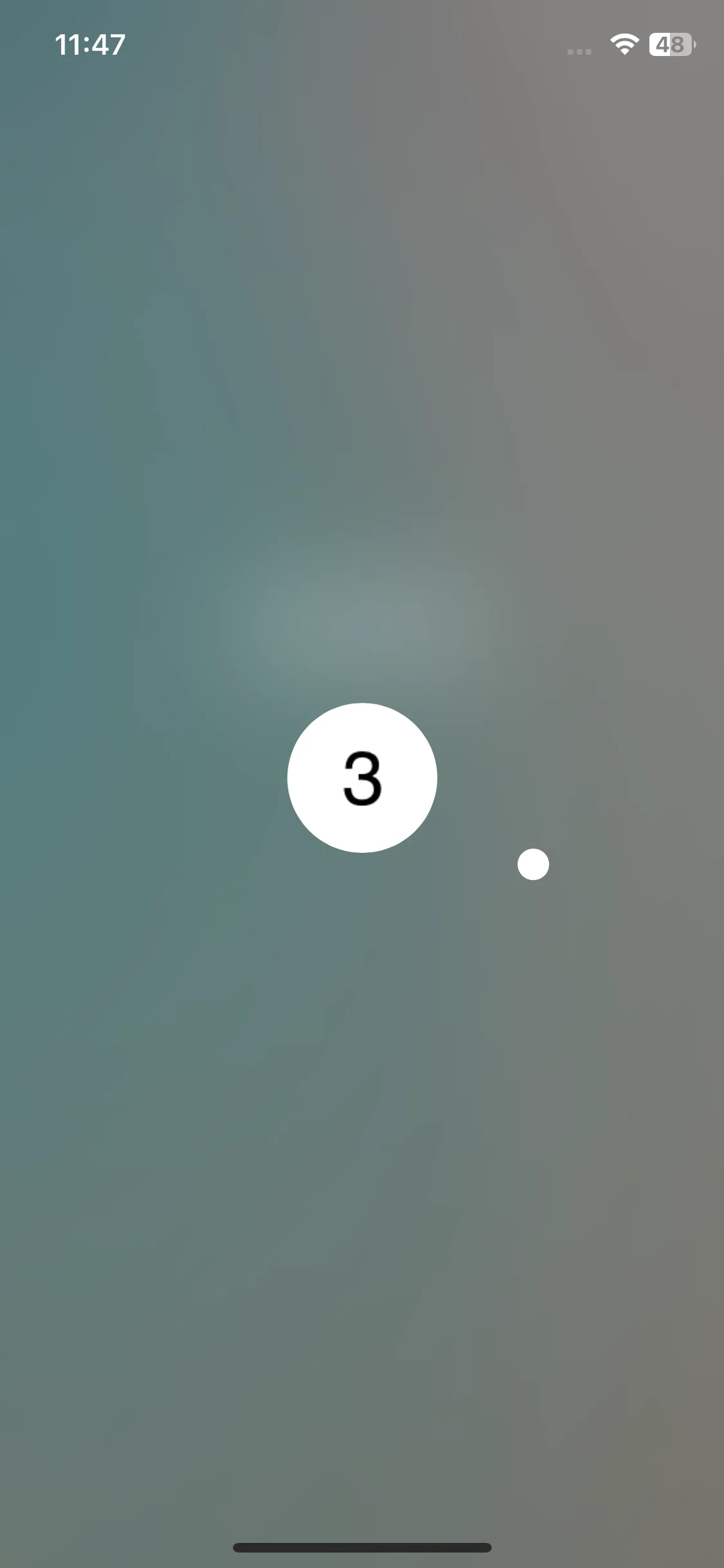 Test Image 14