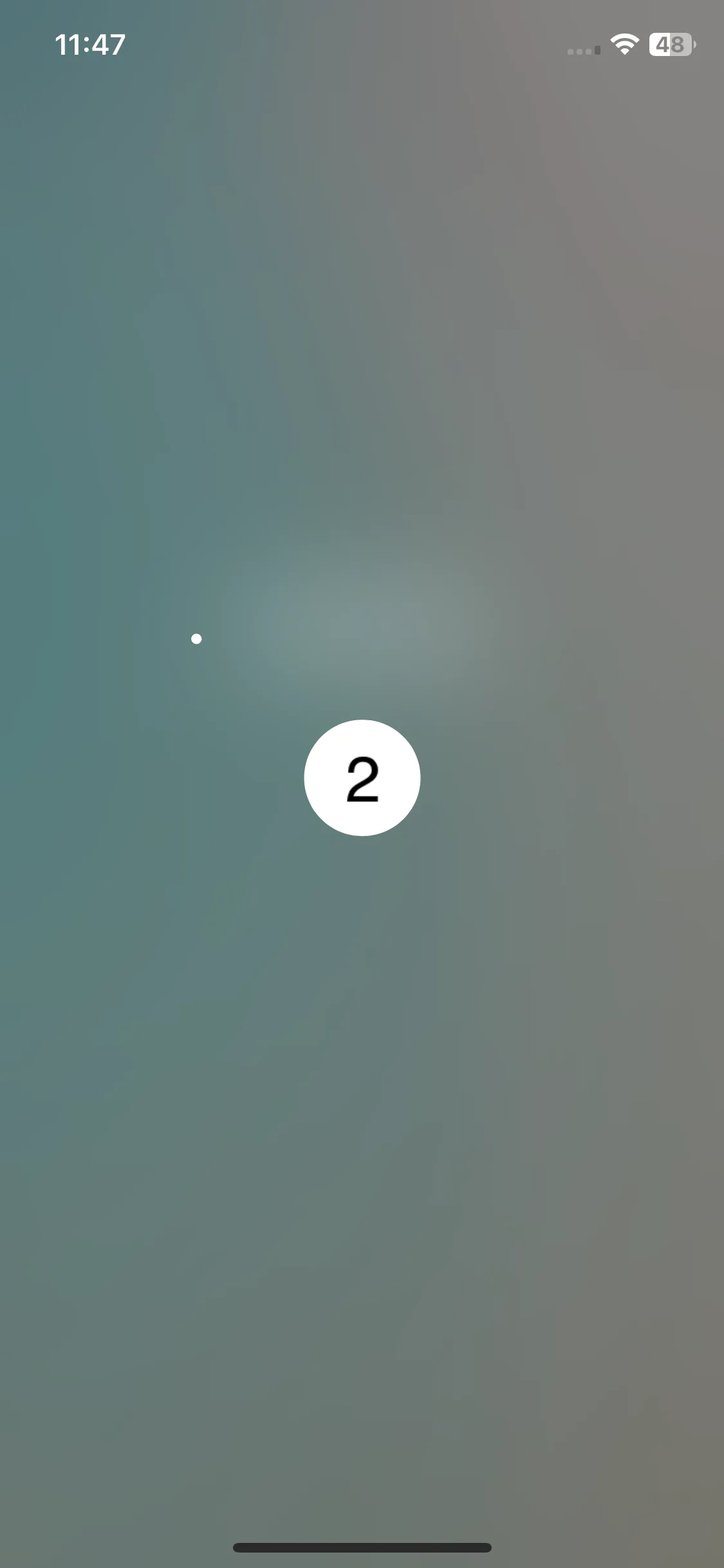 Test Image 15