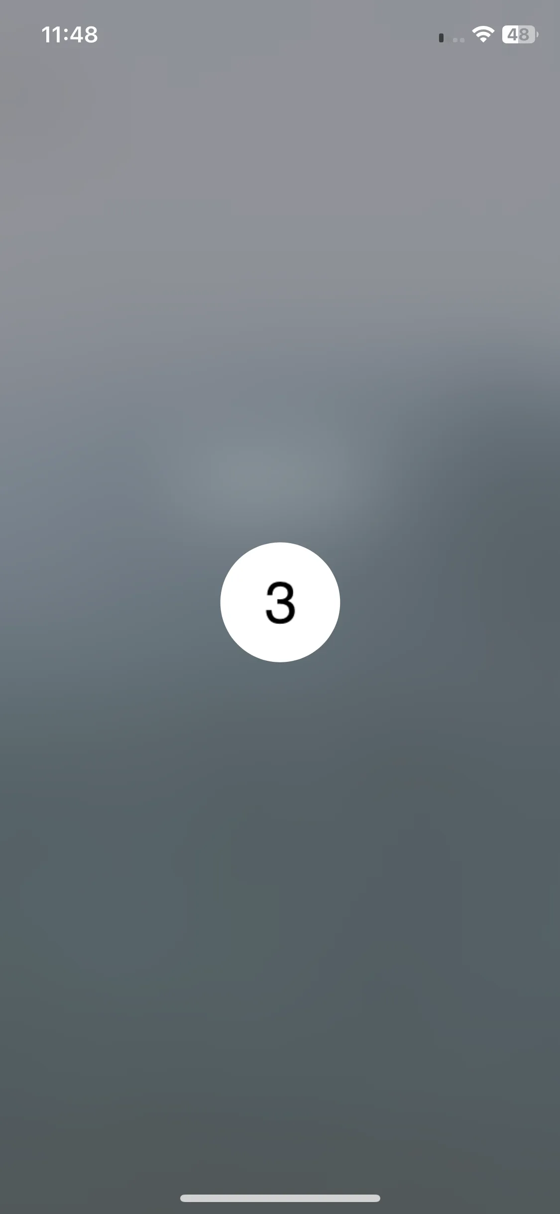 Test Image 19