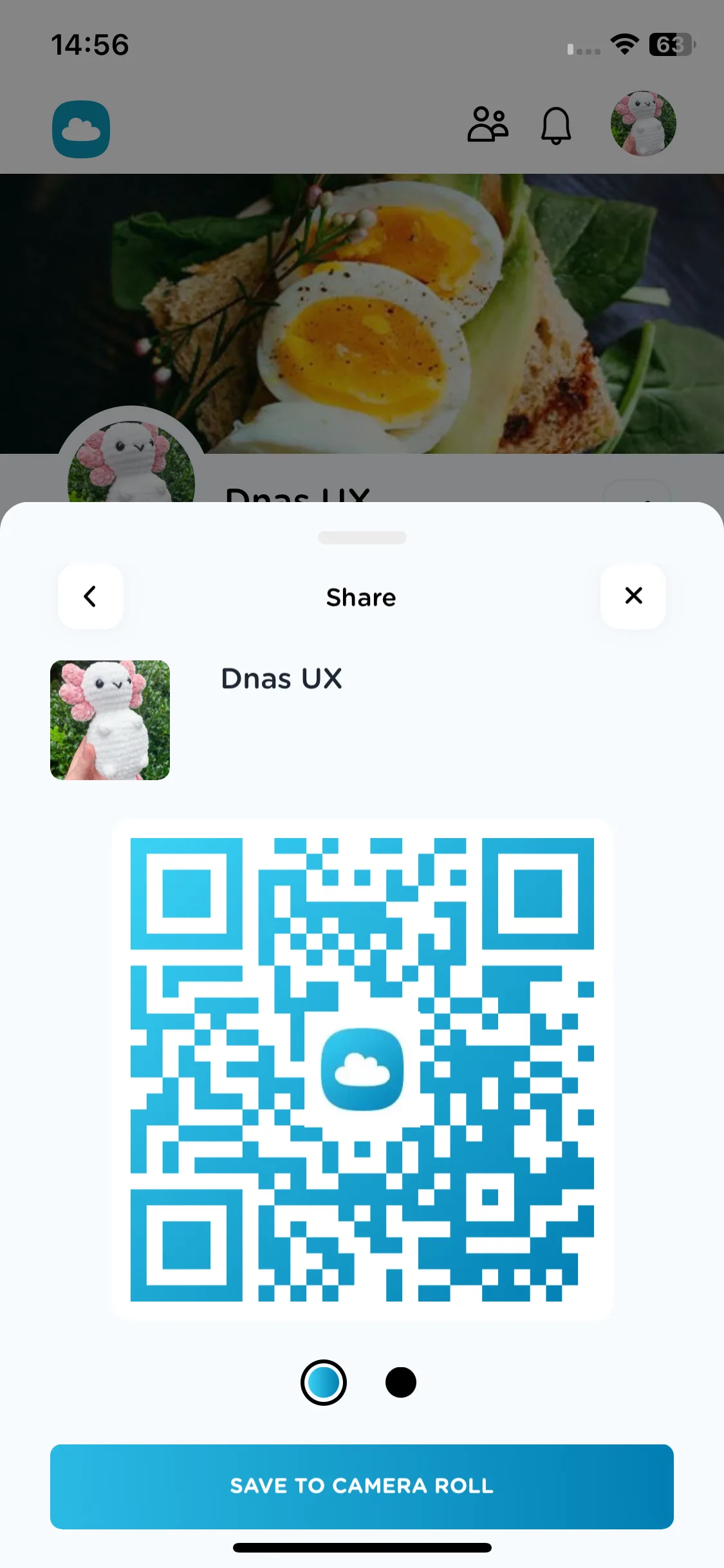 Test Image 5