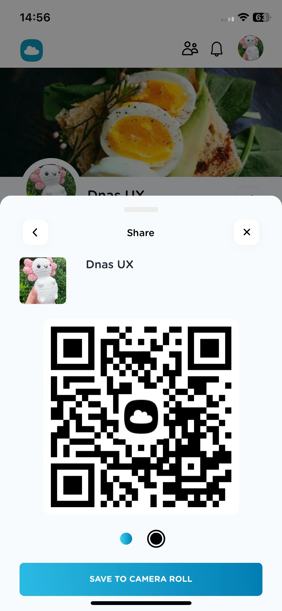 Test Image 6