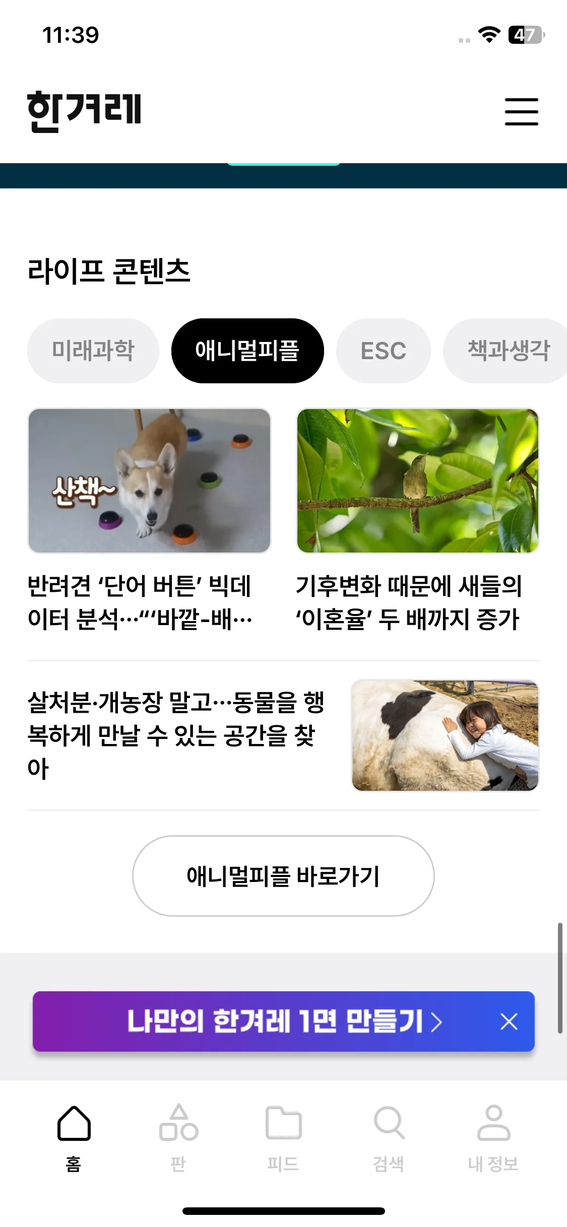 Test Image 1