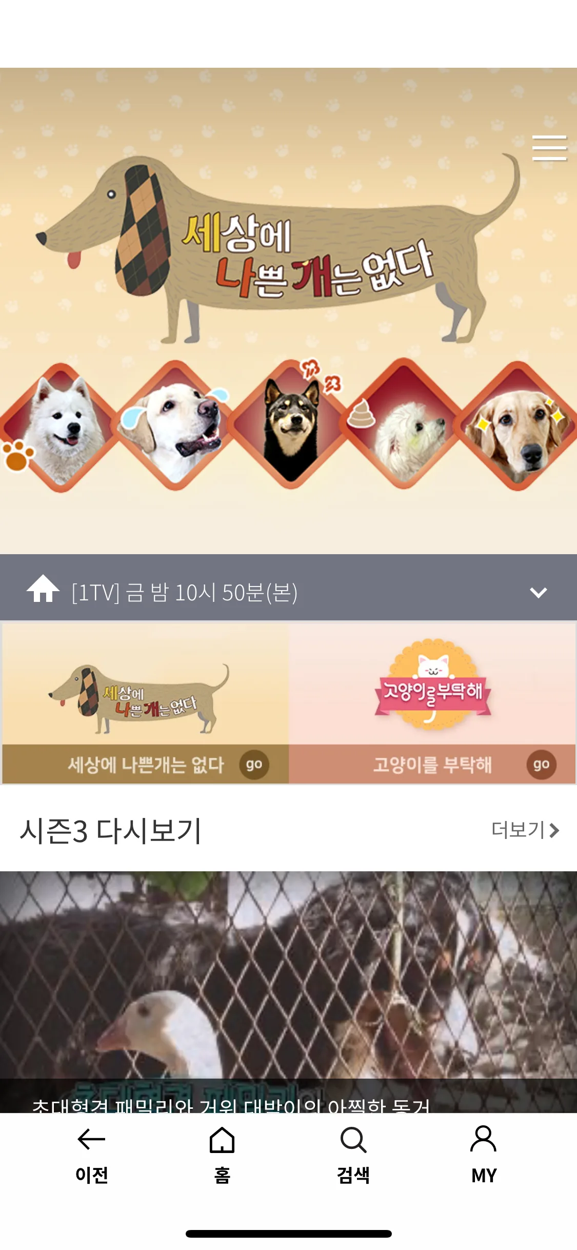 Test Image 3