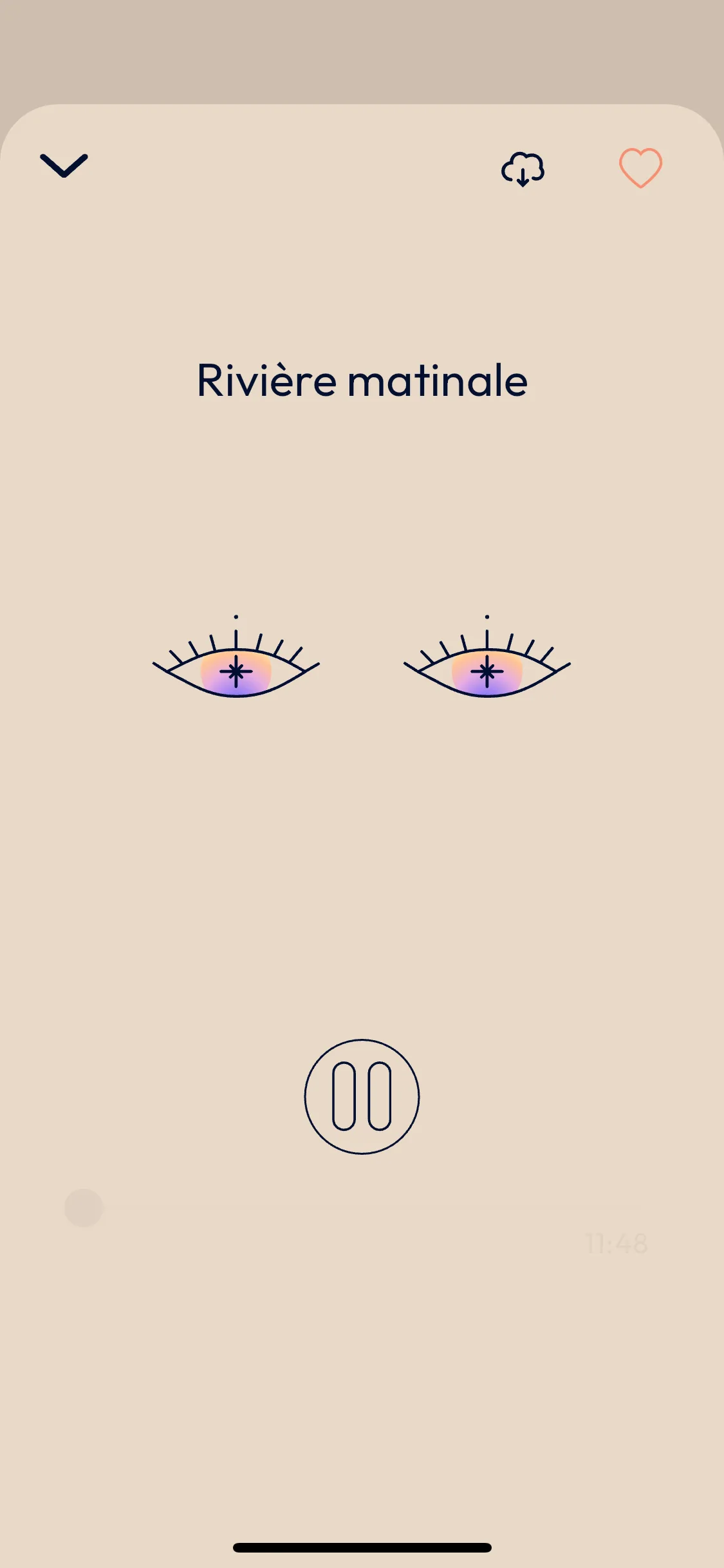 Test Image 21
