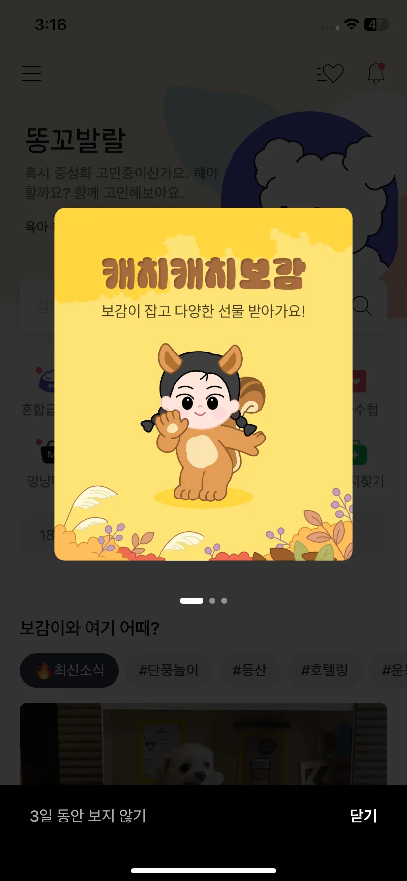Test Image 1
