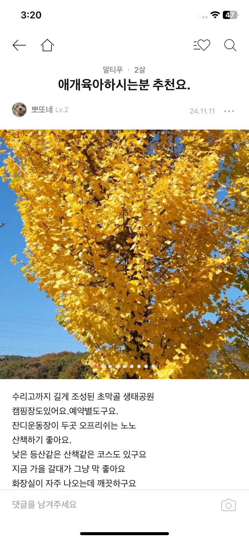 Test Image 11