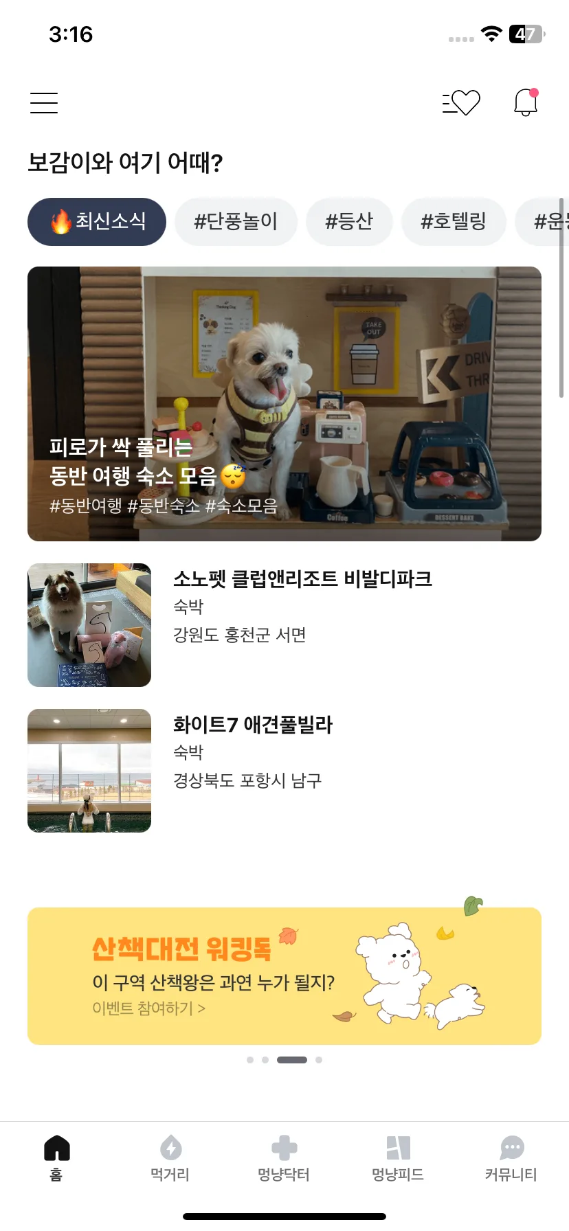 Test Image 4