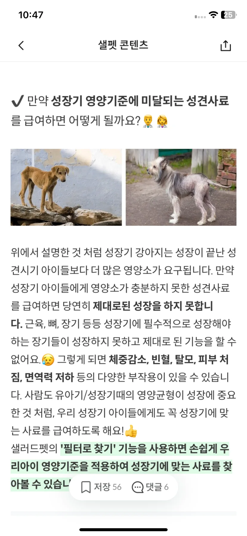 Test Image 23