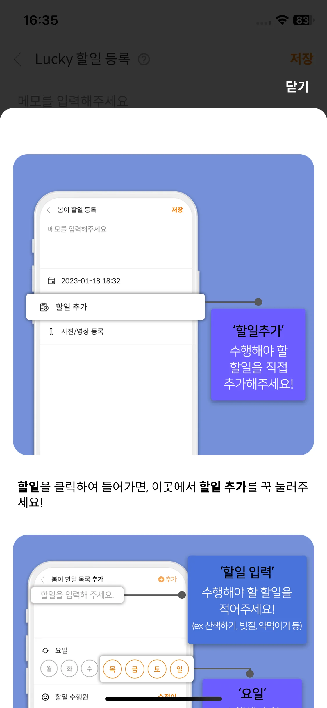 Test Image 11