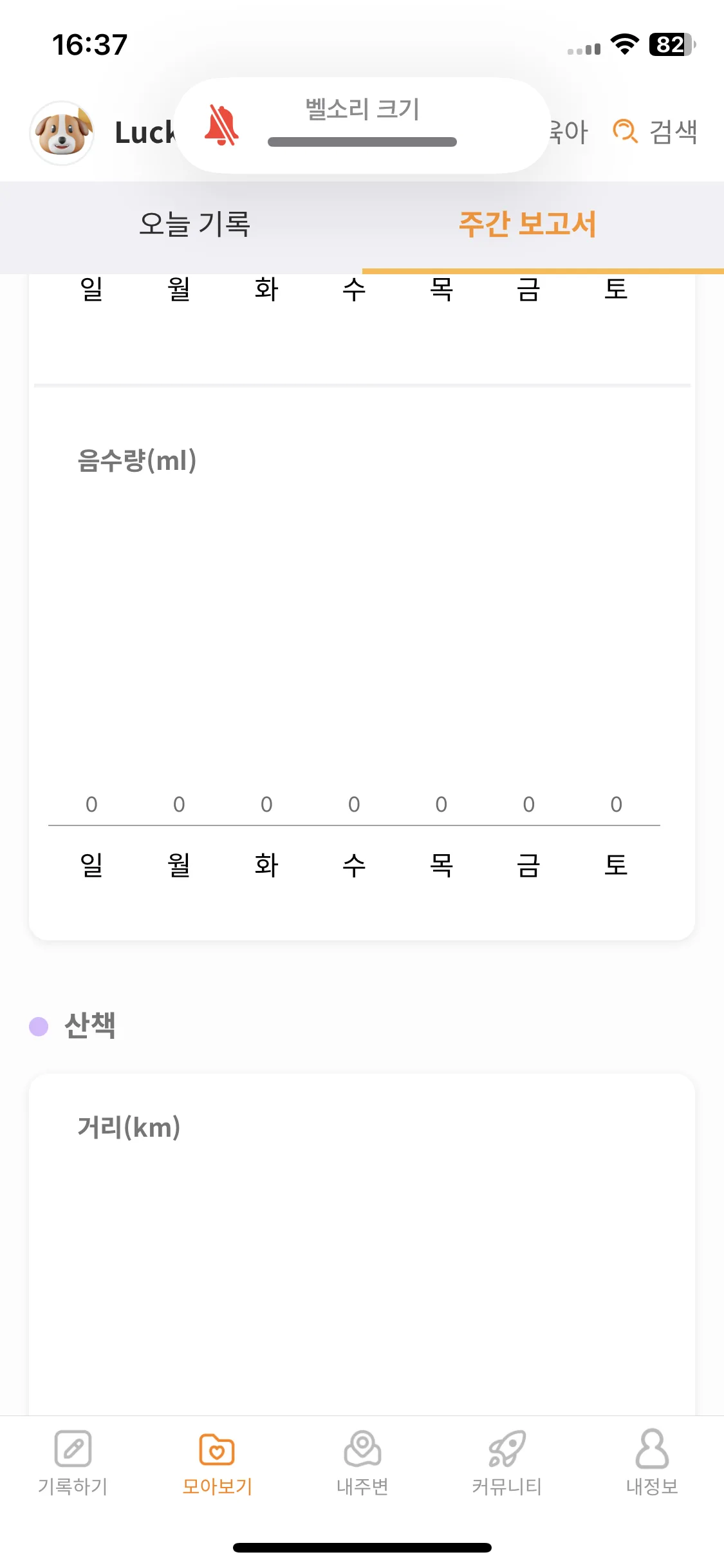 Test Image 11