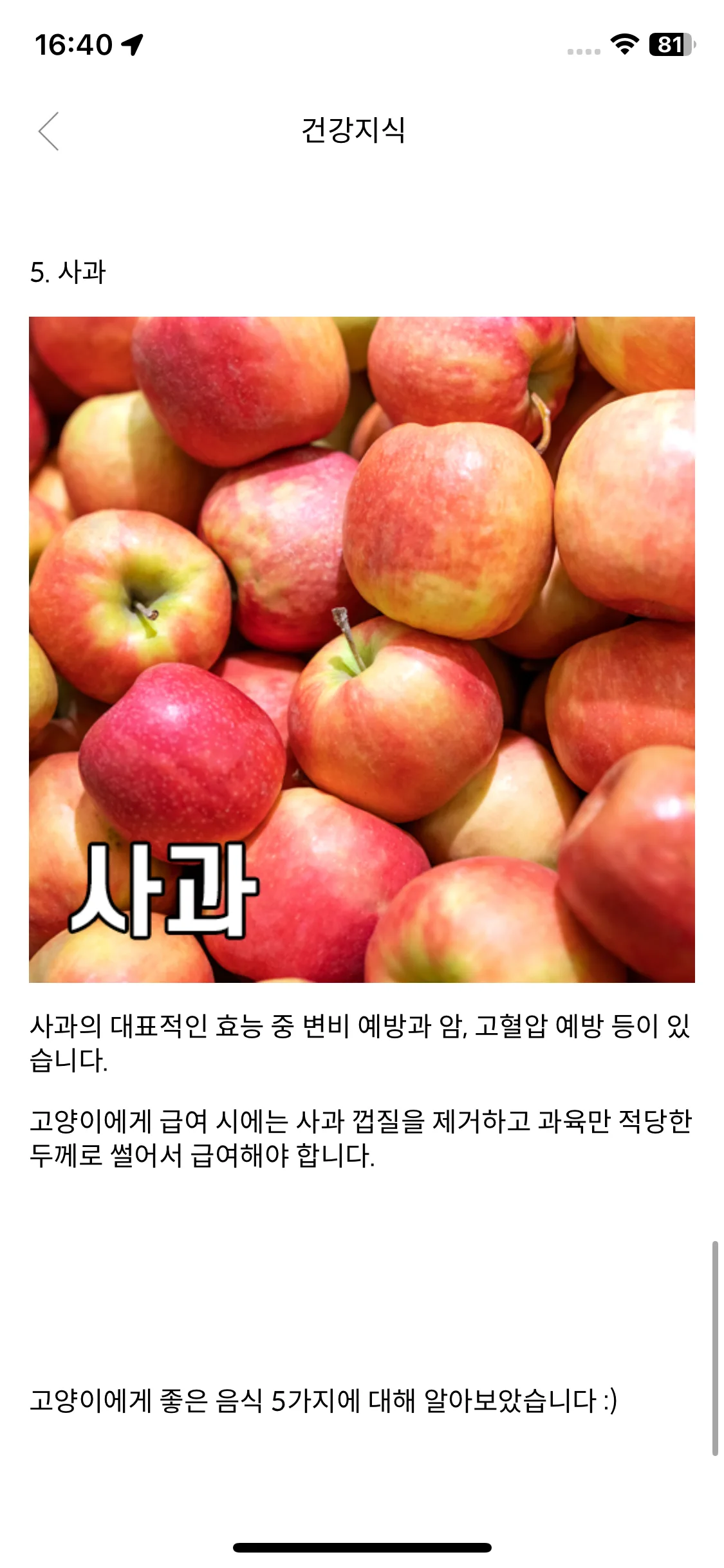 Test Image 14