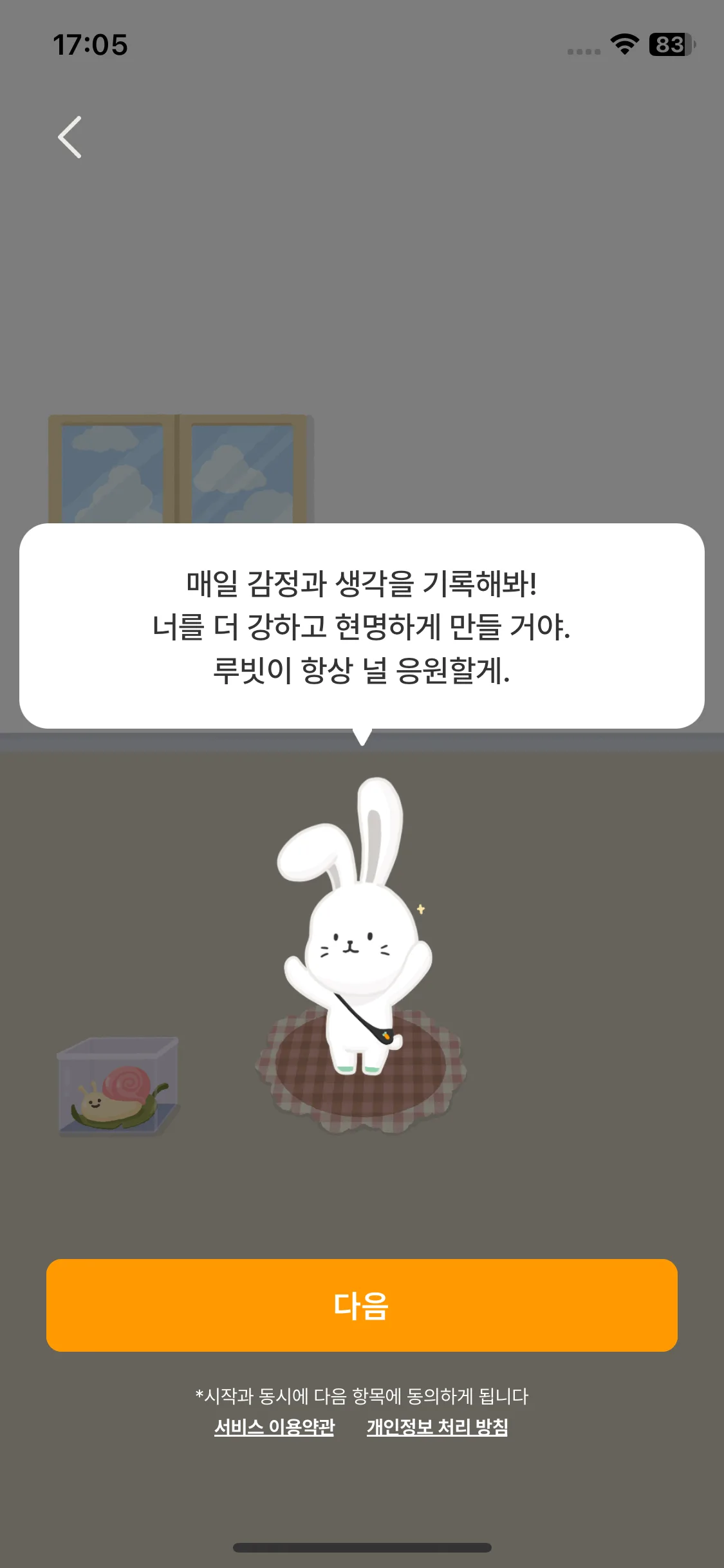 Test Image 19