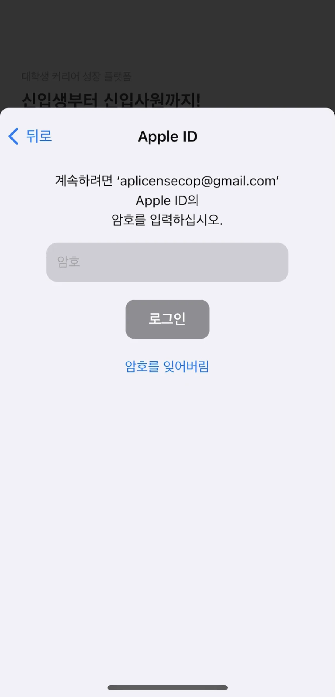 Test Image 4