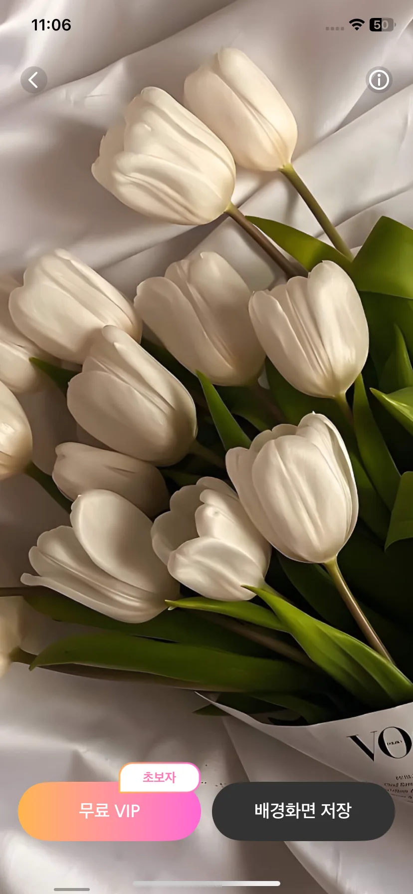 Test Image 8