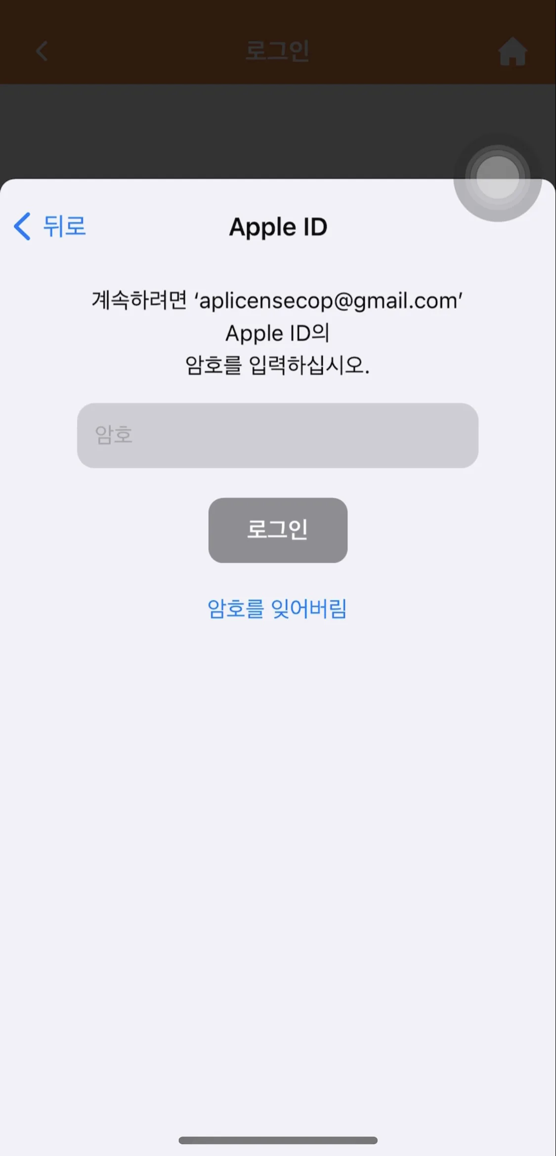 Test Image 4