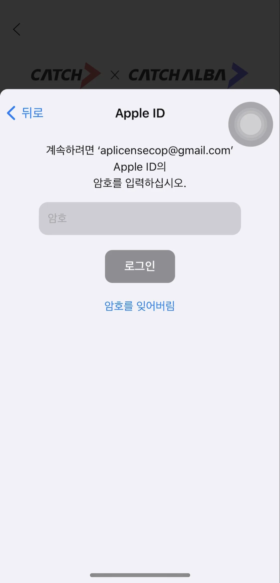 Test Image 3