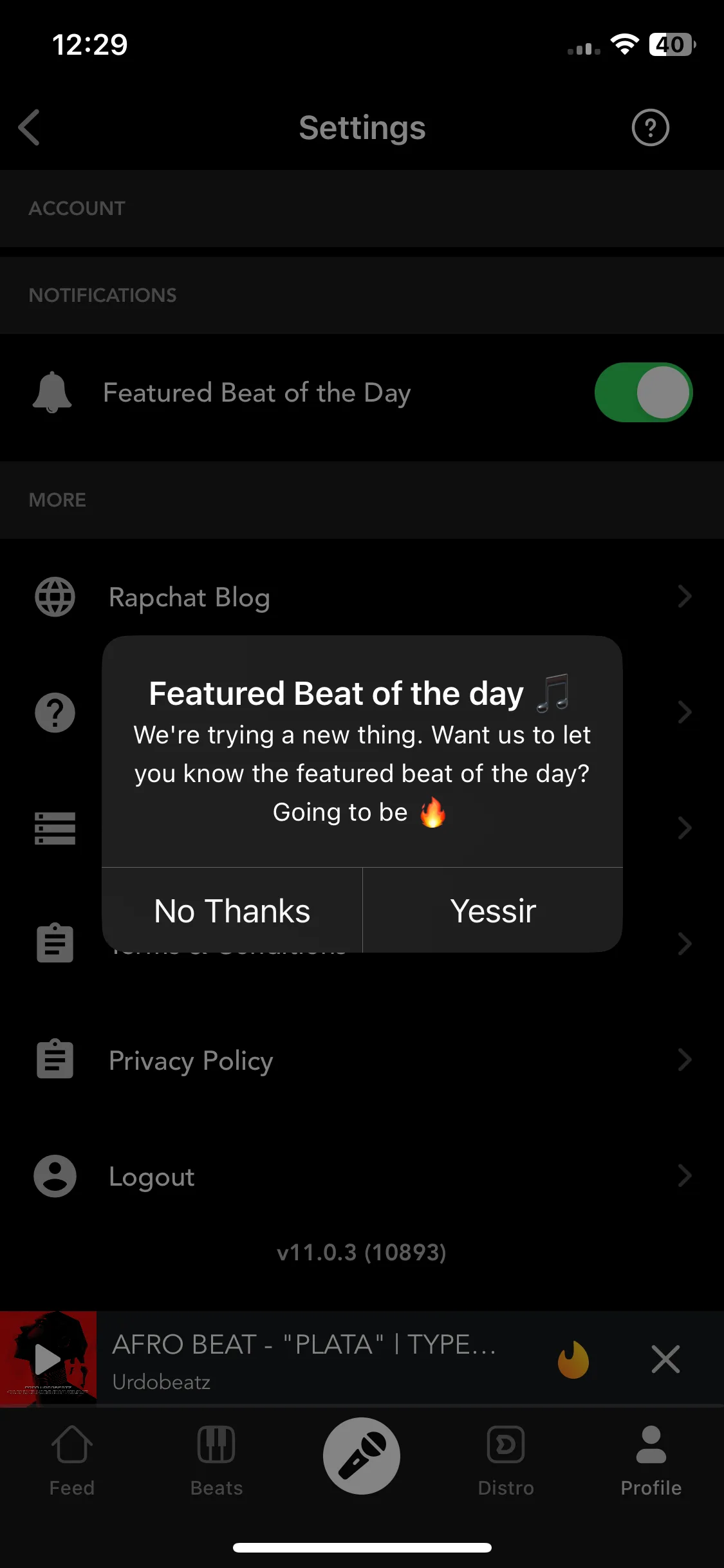 Test Image 11