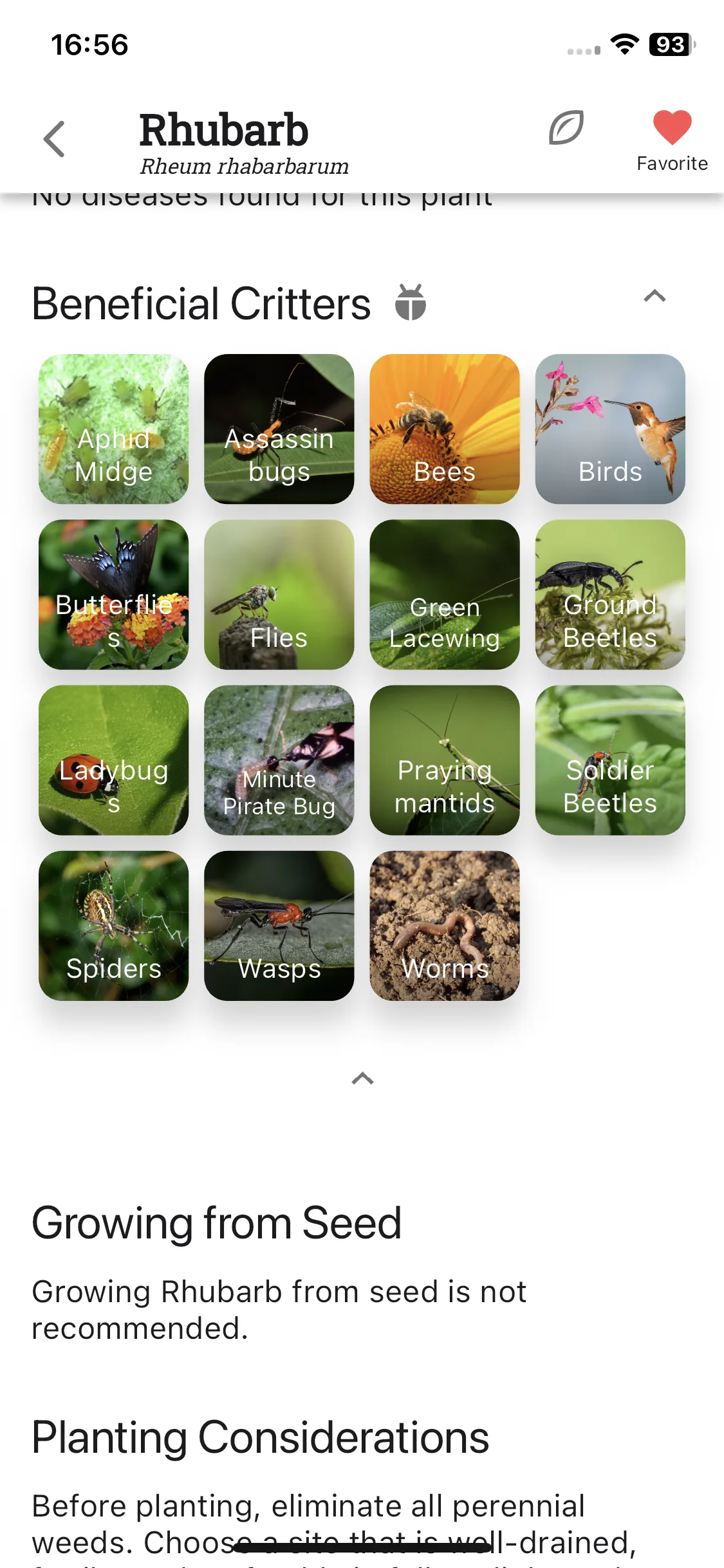 Test Image 16