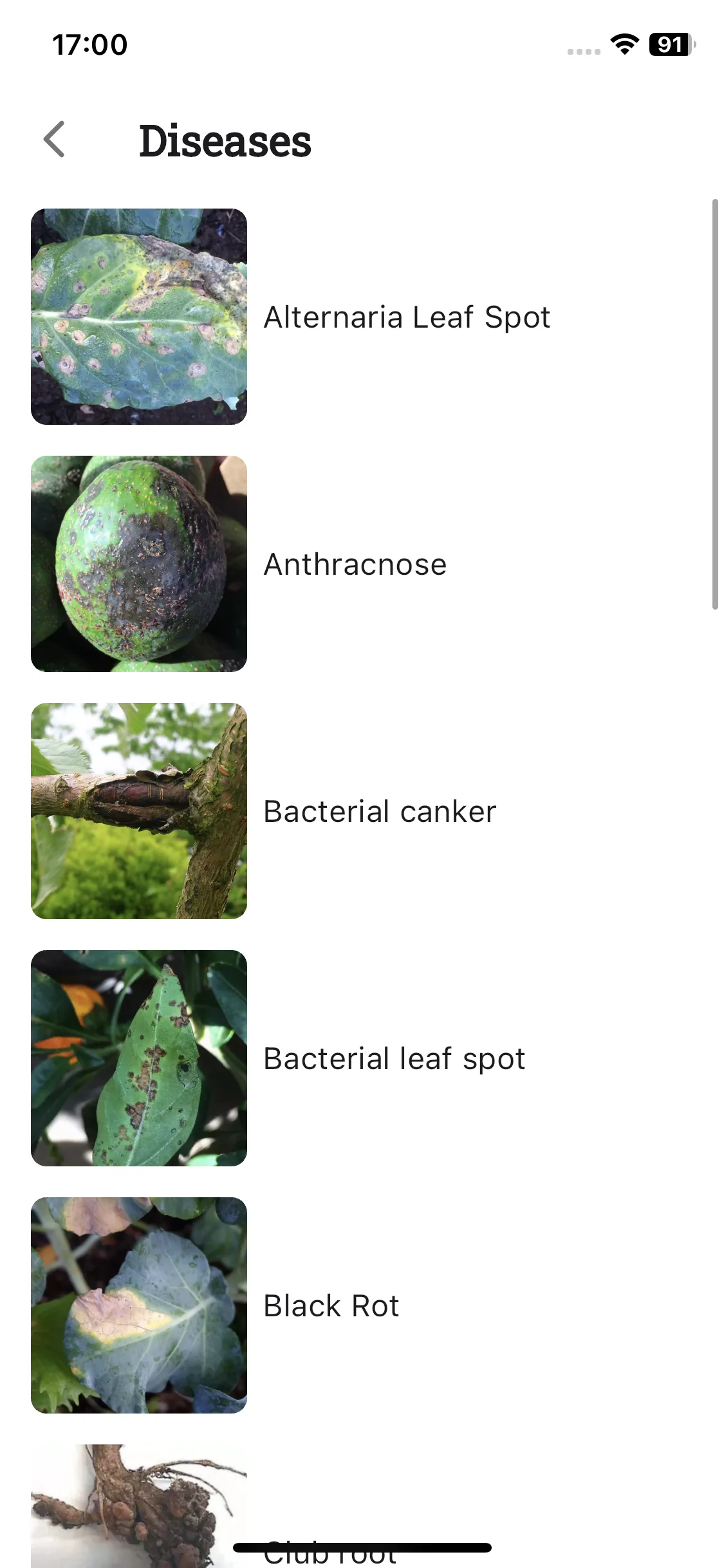 Test Image 18