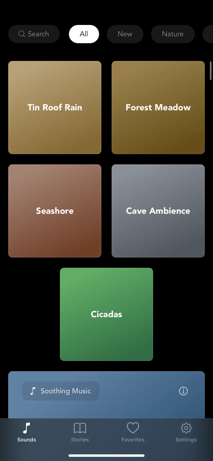 Test Image 5