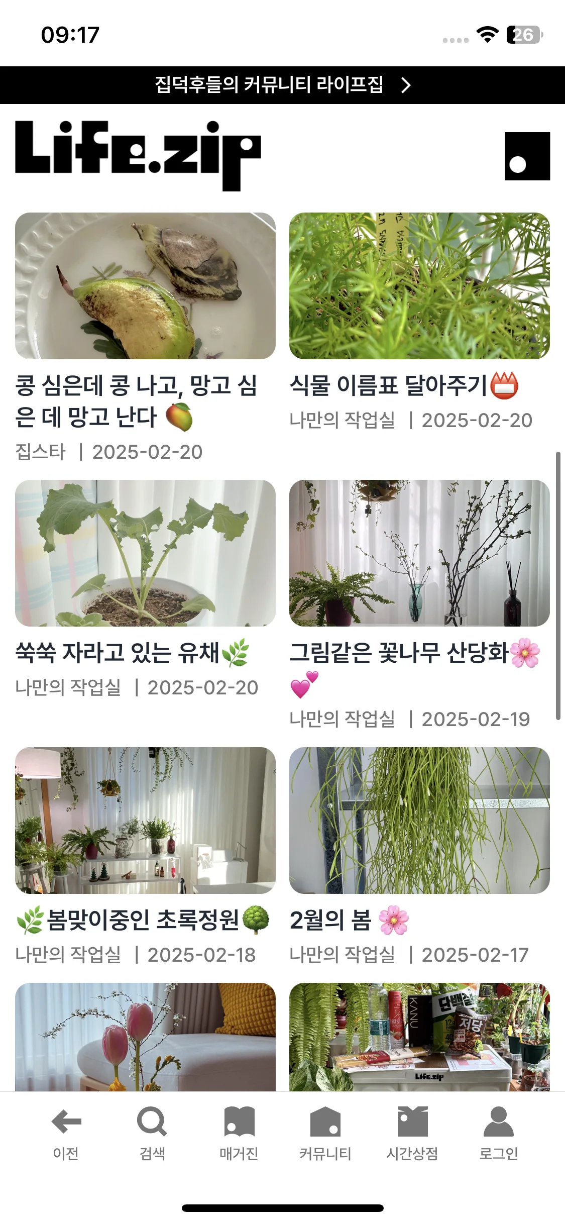 Test Image 5
