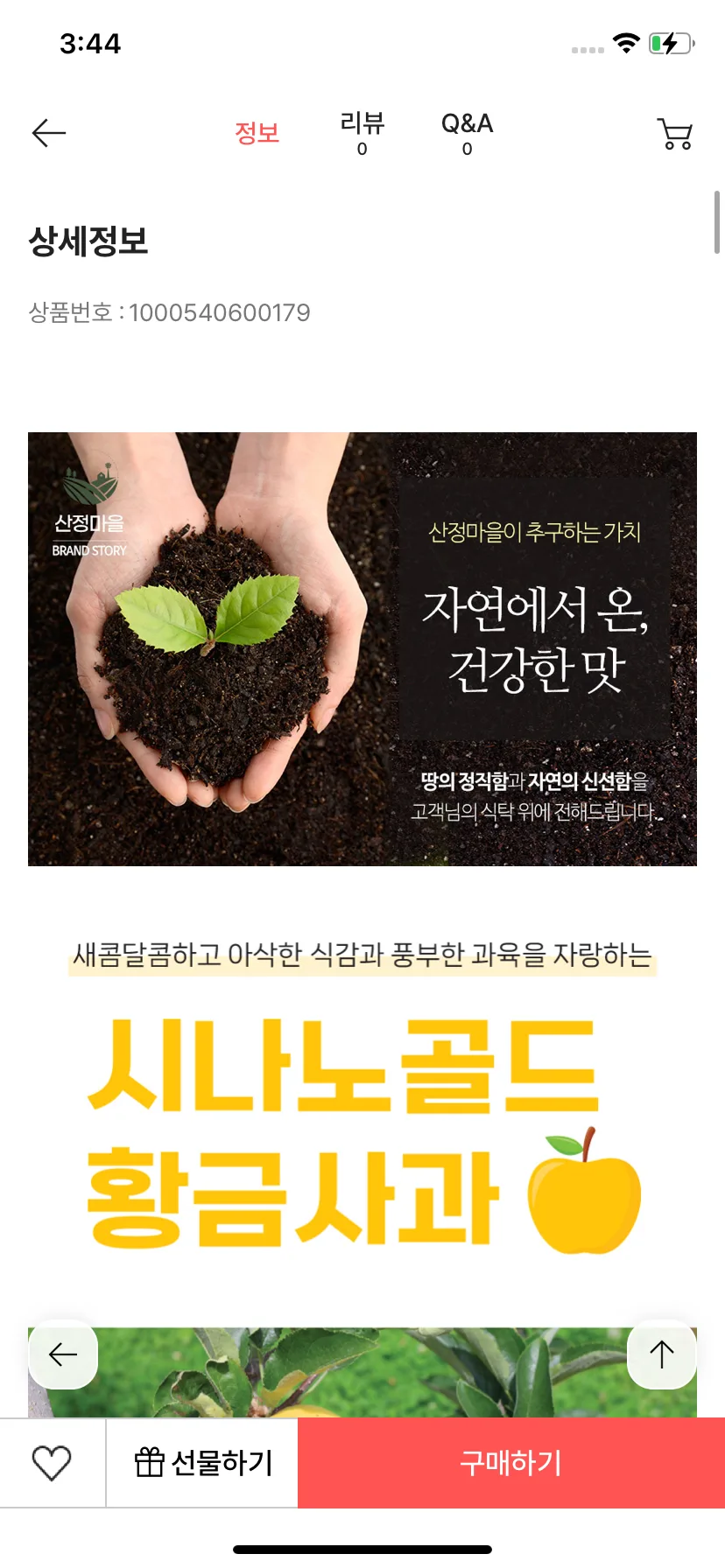 Test Image 19