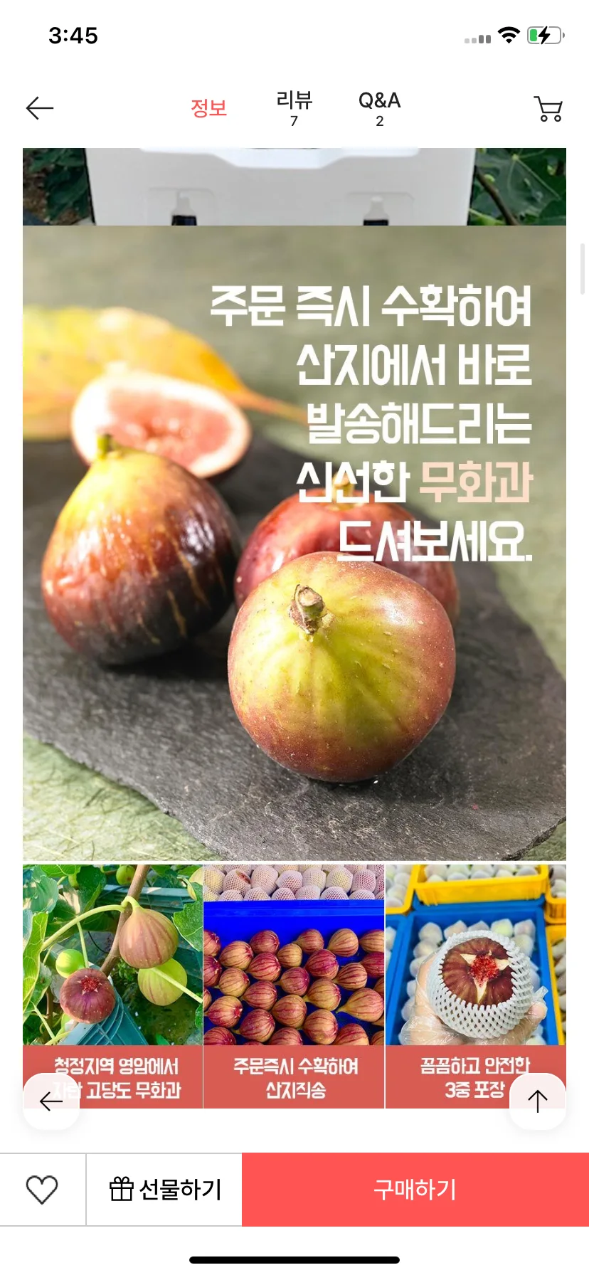 Test Image 24